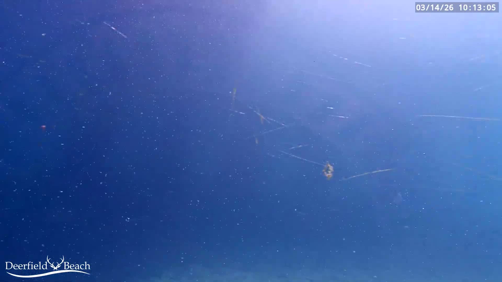 Deerfield Beach Atlantic Underwater Fish World Live Cam - Deerfield Beach, Broward, Florida, USA