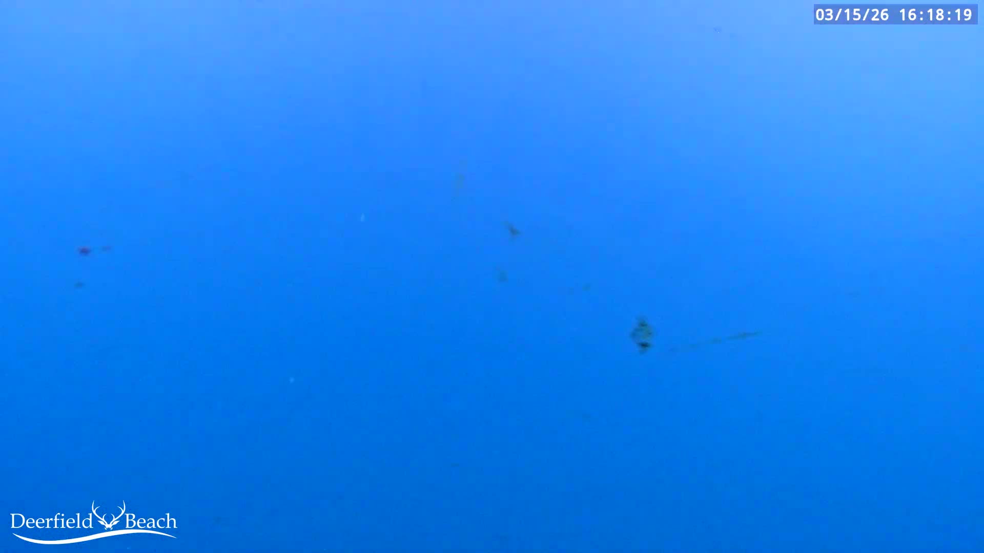 Deerfield Beach Atlantic Underwater Fish World Live Cam - Deerfield Beach, Broward, Florida, USA