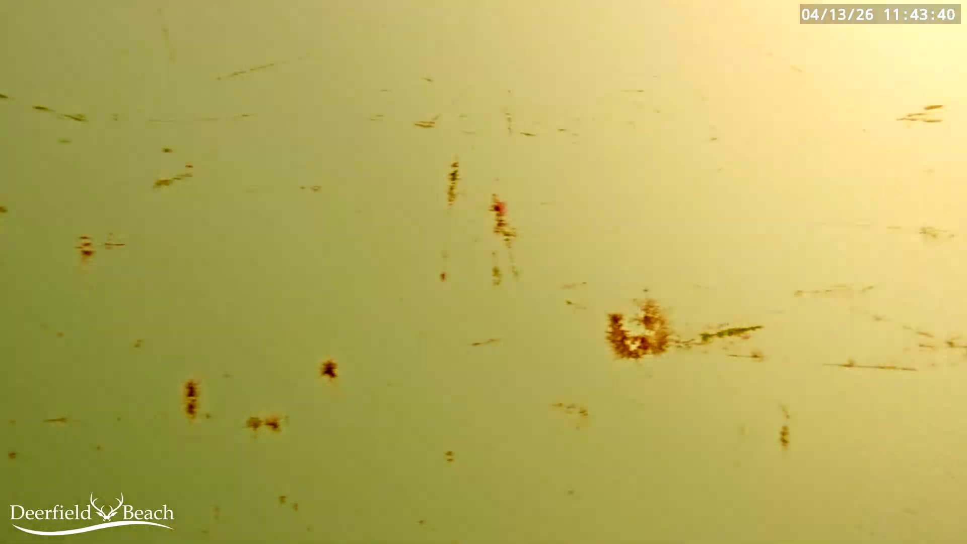 The image presents an almost entirely black scene with subtle digital noise, indicative of extremely dark, zero-visibility conditions, consistent with an outdoor camera at night.