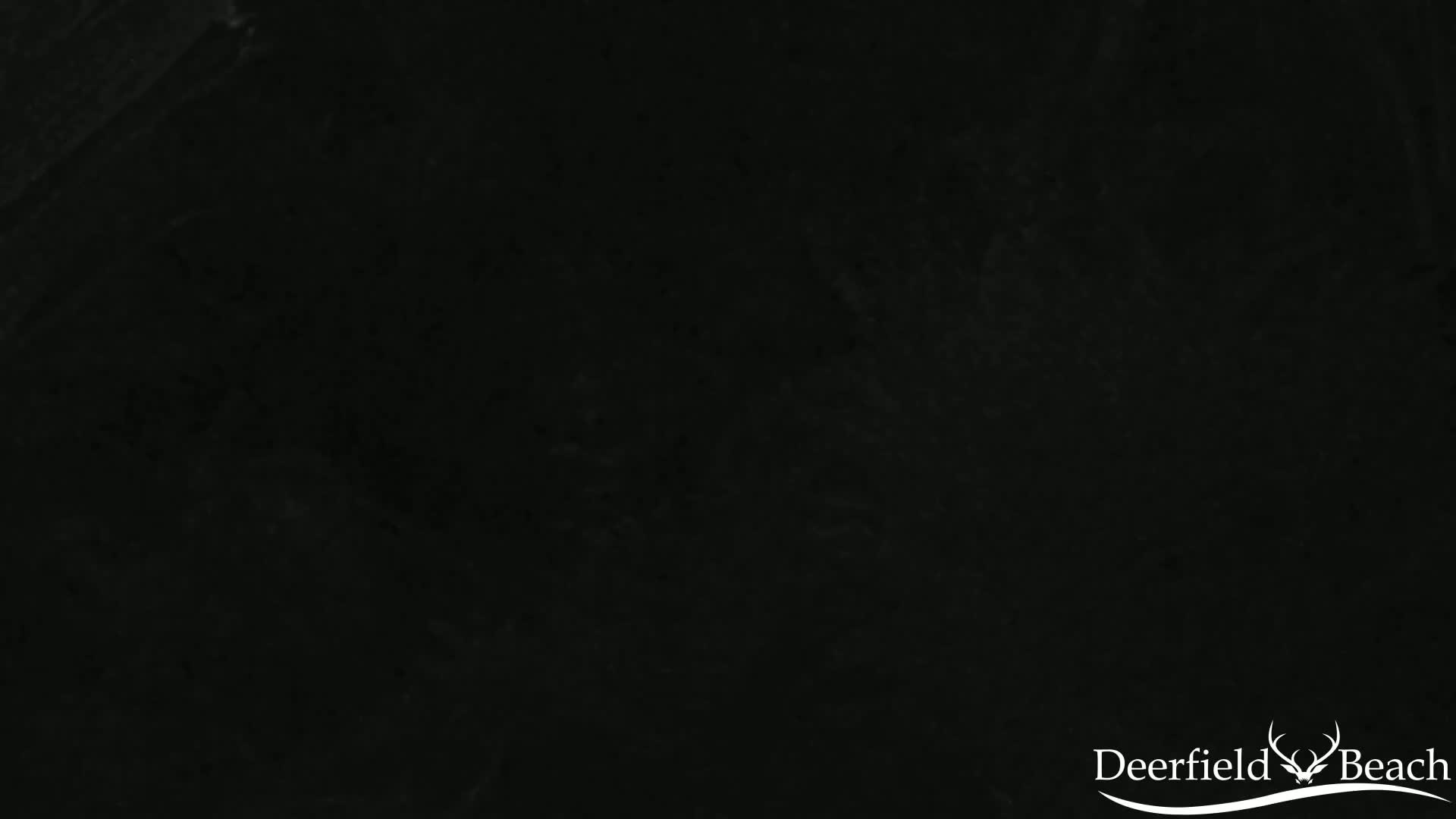 The image shows a dark, textured surface.