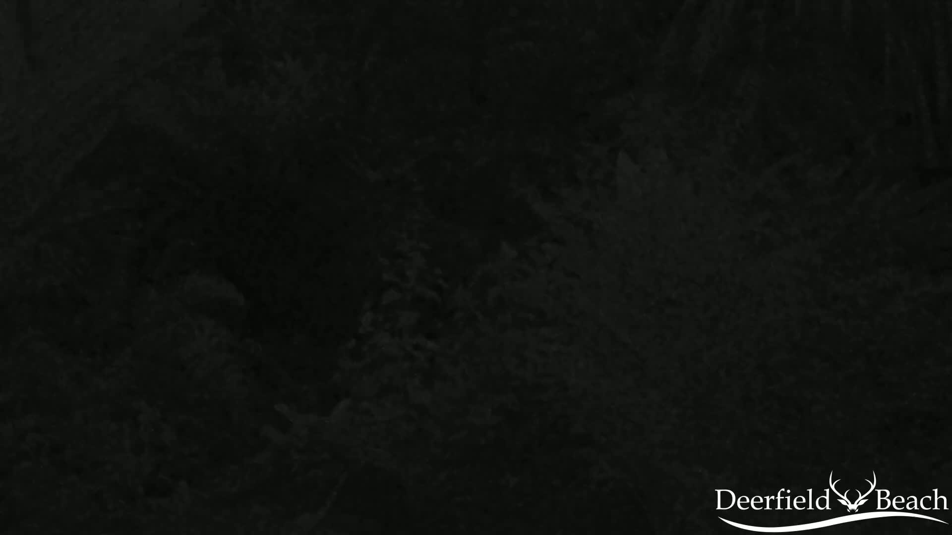 A dark, blurry image shows an expanse of dense, dark foliage at night.