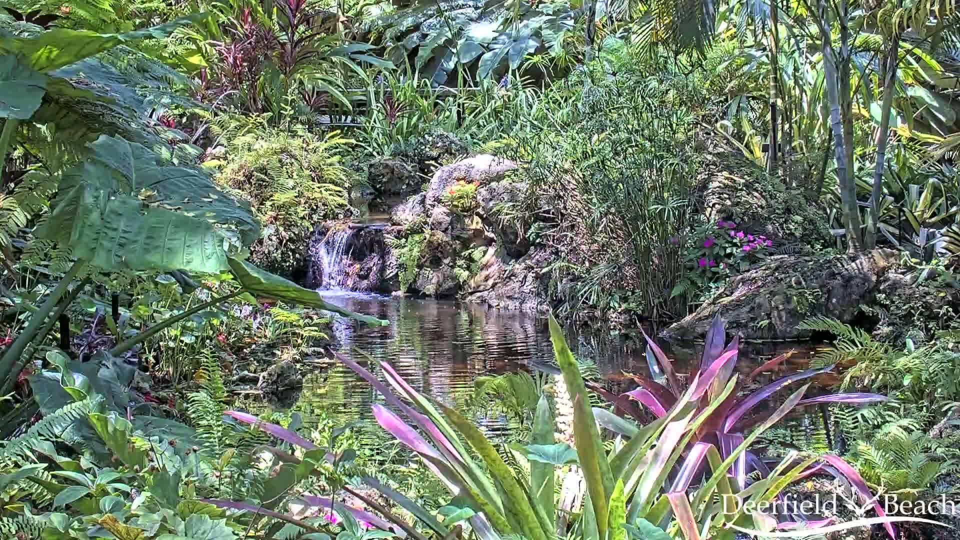 A lush, tropical garden features a small pond fed by a waterfall cascading over rocks, surrounded by diverse plants and flowers in bright sunlight.
