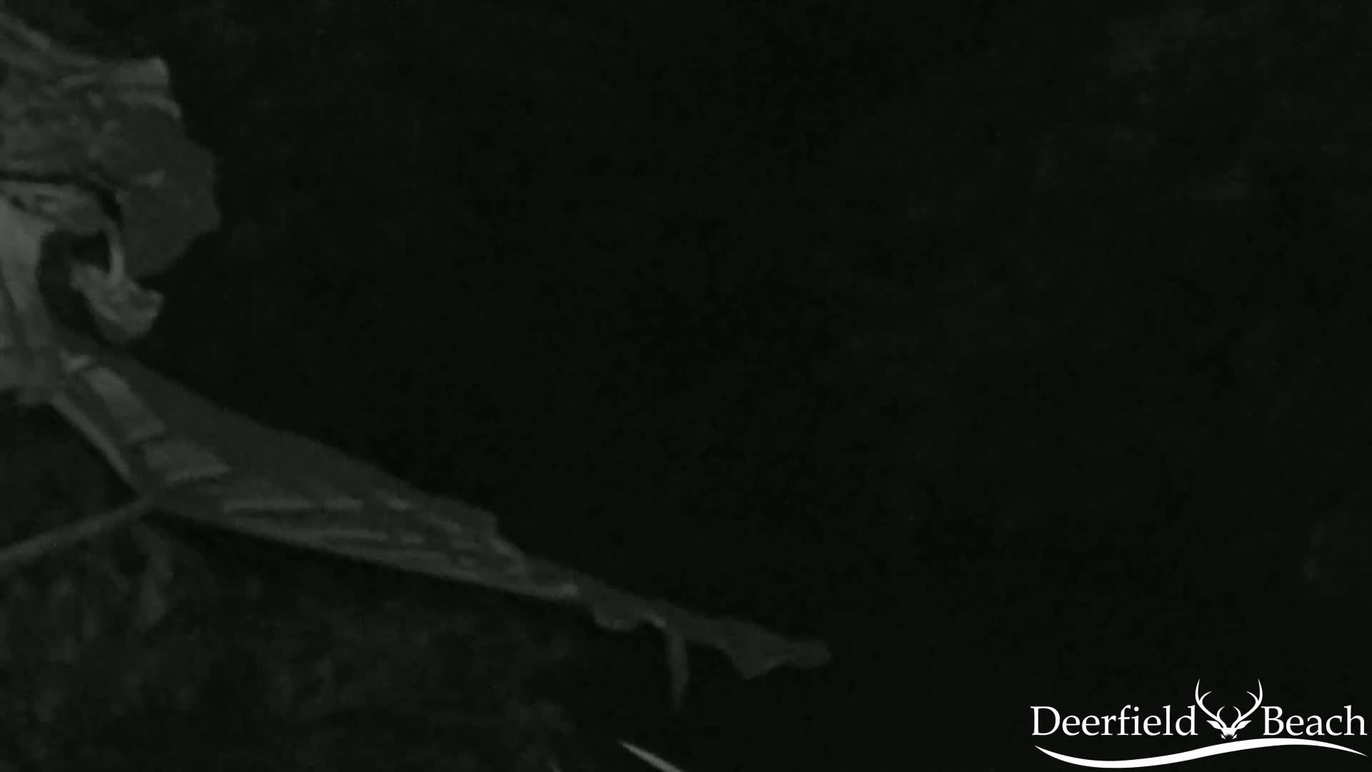 A dark, grainy image shows what appears to be a piece of driftwood or wreckage on the ground at night.