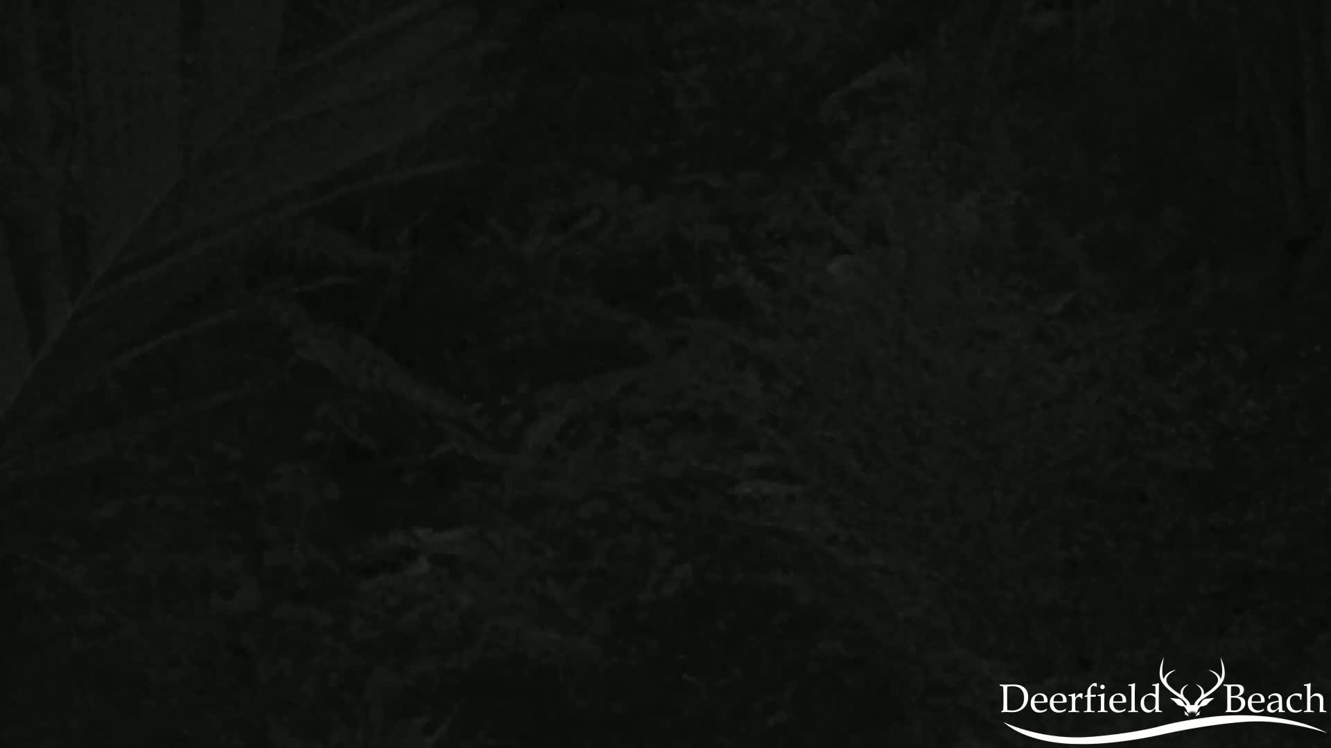 Deerfield Beach City Arboretum at Constitution Park Live Cam - Deerfield Beach, Broward, Florida, USA