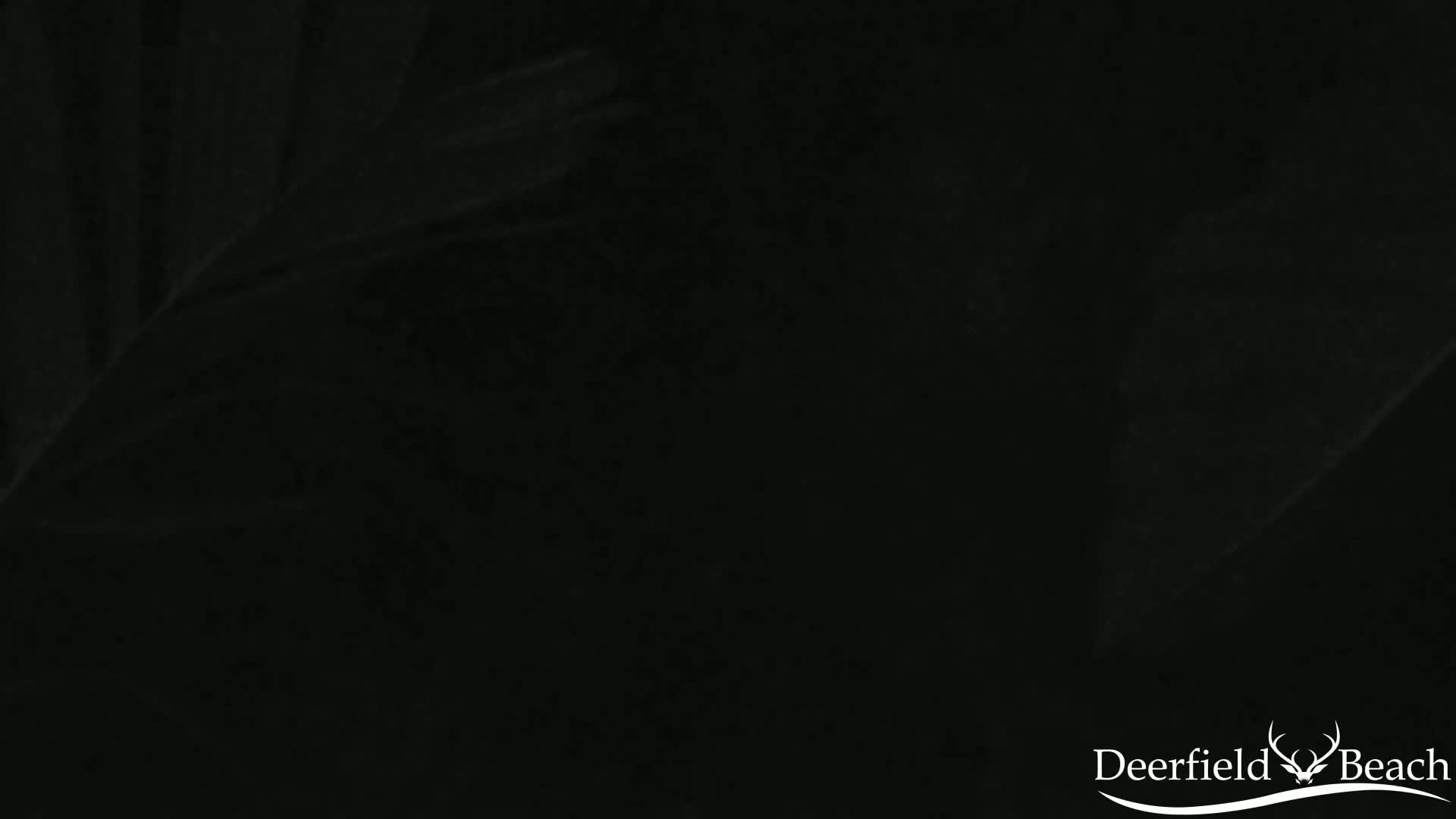 A nearly entirely black image shows dark, indistinct shapes that might be foliage.