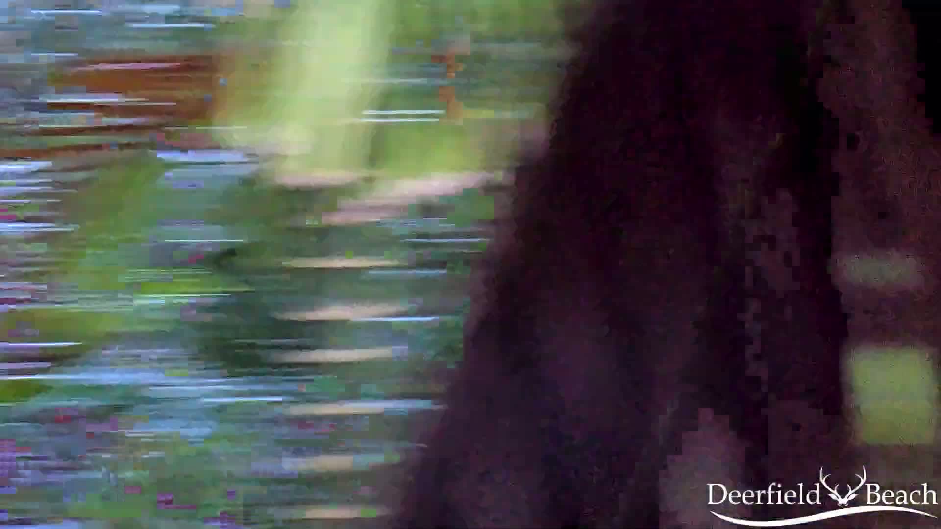 A blurry image shows a dark object moving past a background of green and blue horizontal streaks, possibly indicating motion blur.