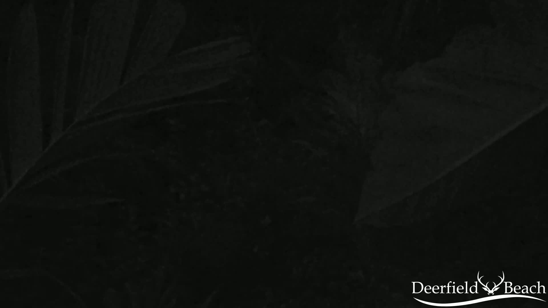 Deerfield Beach City Arboretum at Constitution Park Live Cam - Deerfield Beach, Broward, Florida, USA