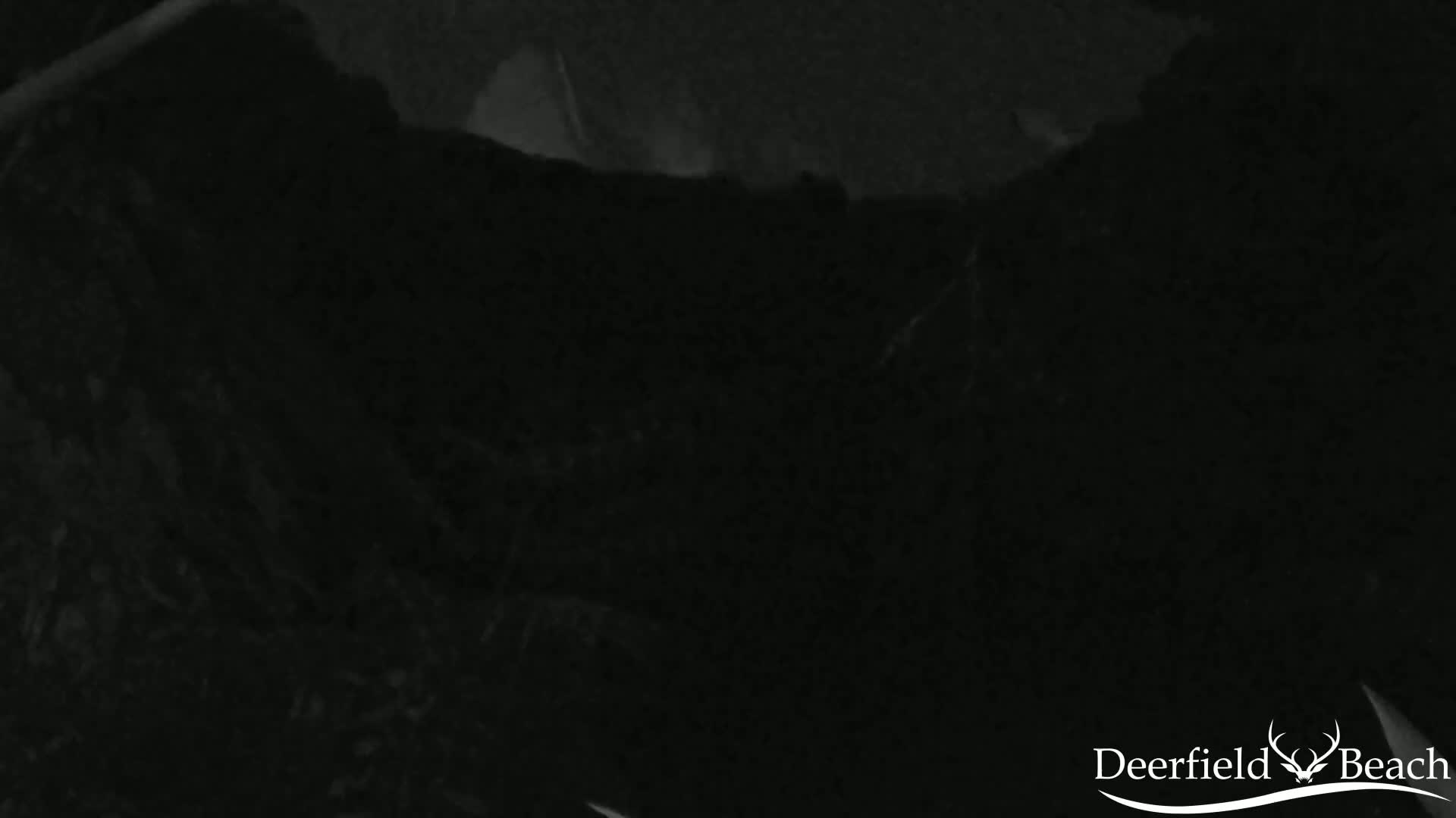 A dark, nighttime image shows a blurry, indistinct view of a landscape.