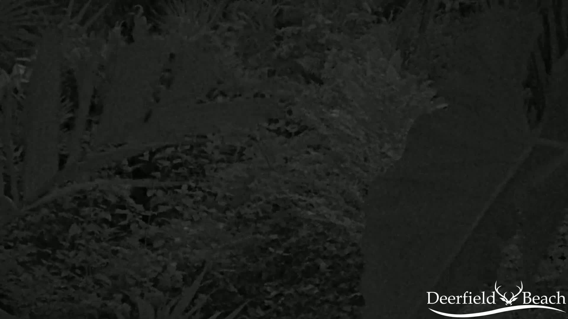 Deerfield Beach City Arboretum at Constitution Park Live Cam - Deerfield Beach, Broward, Florida, USA