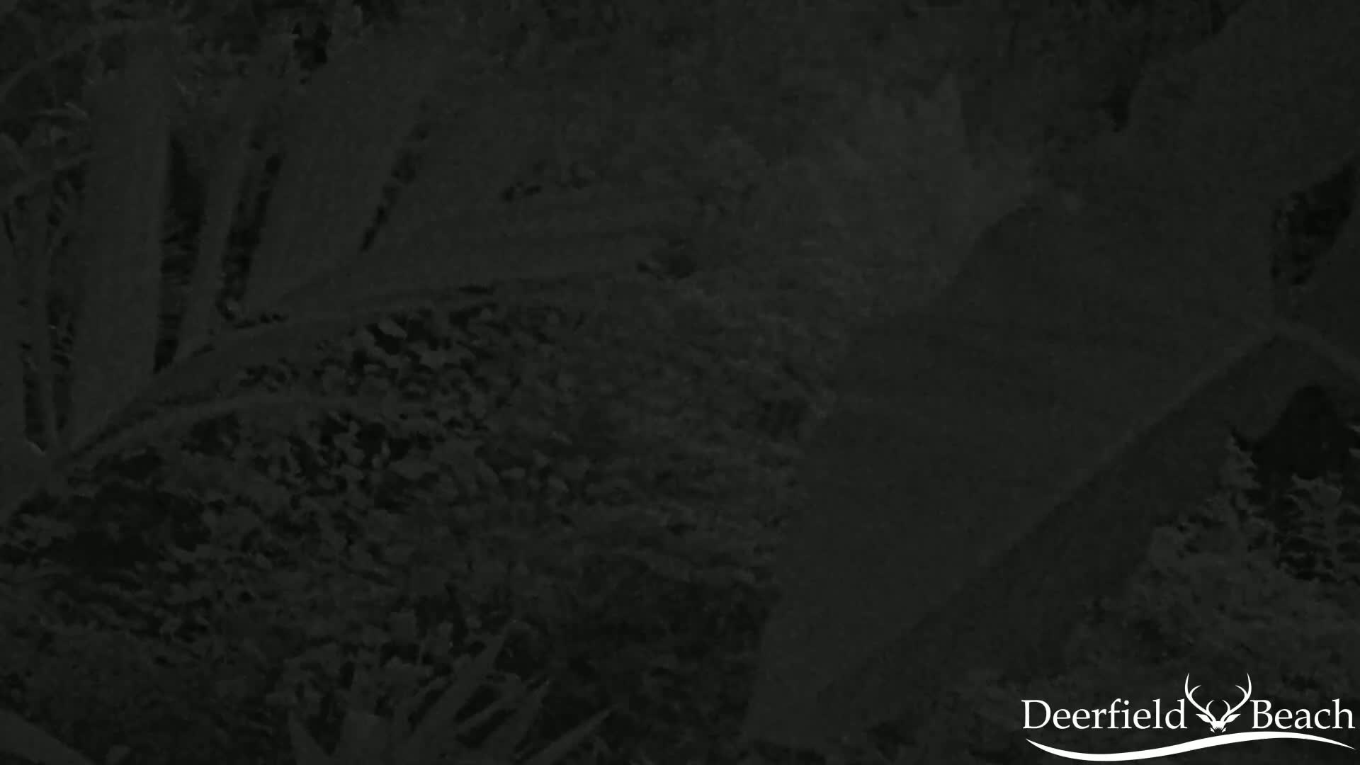 Deerfield Beach City Arboretum at Constitution Park Live Cam - Deerfield Beach, Broward, Florida, USA