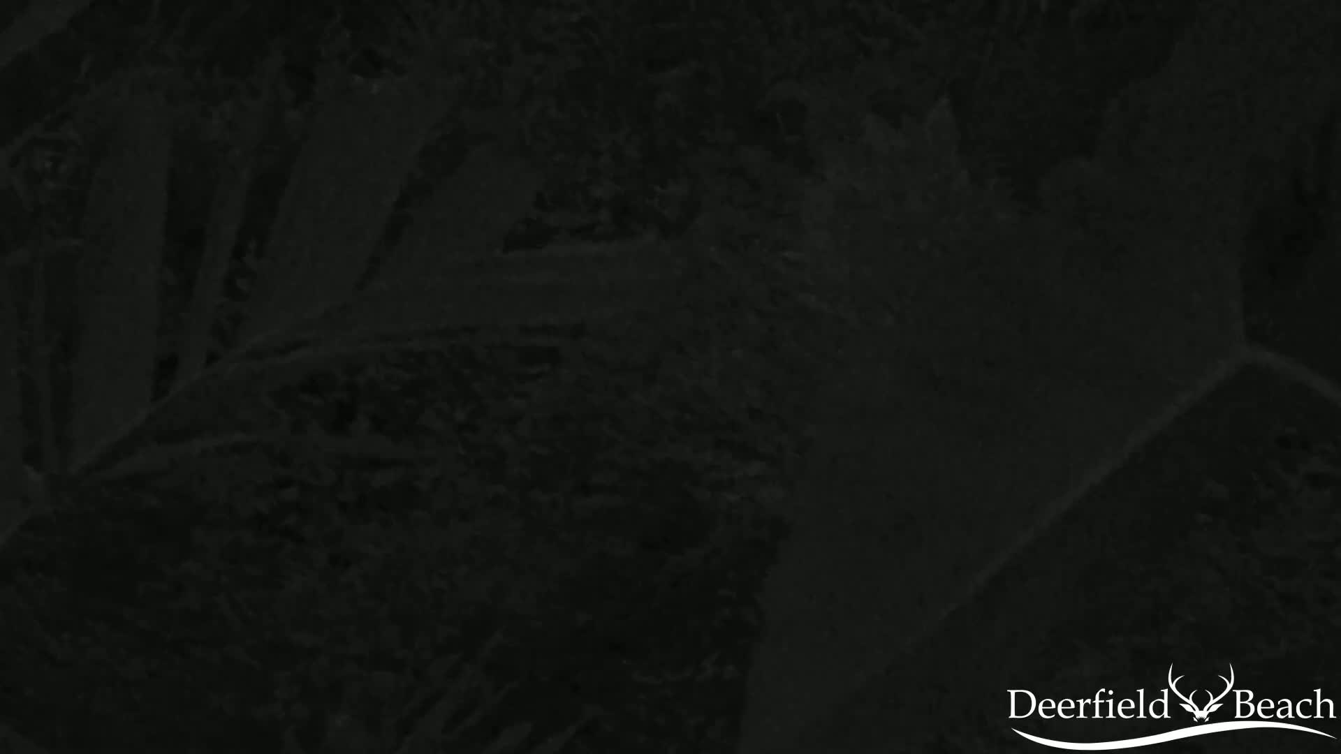 Deerfield Beach City Arboretum at Constitution Park Live Cam - Deerfield Beach, Broward, Florida, USA