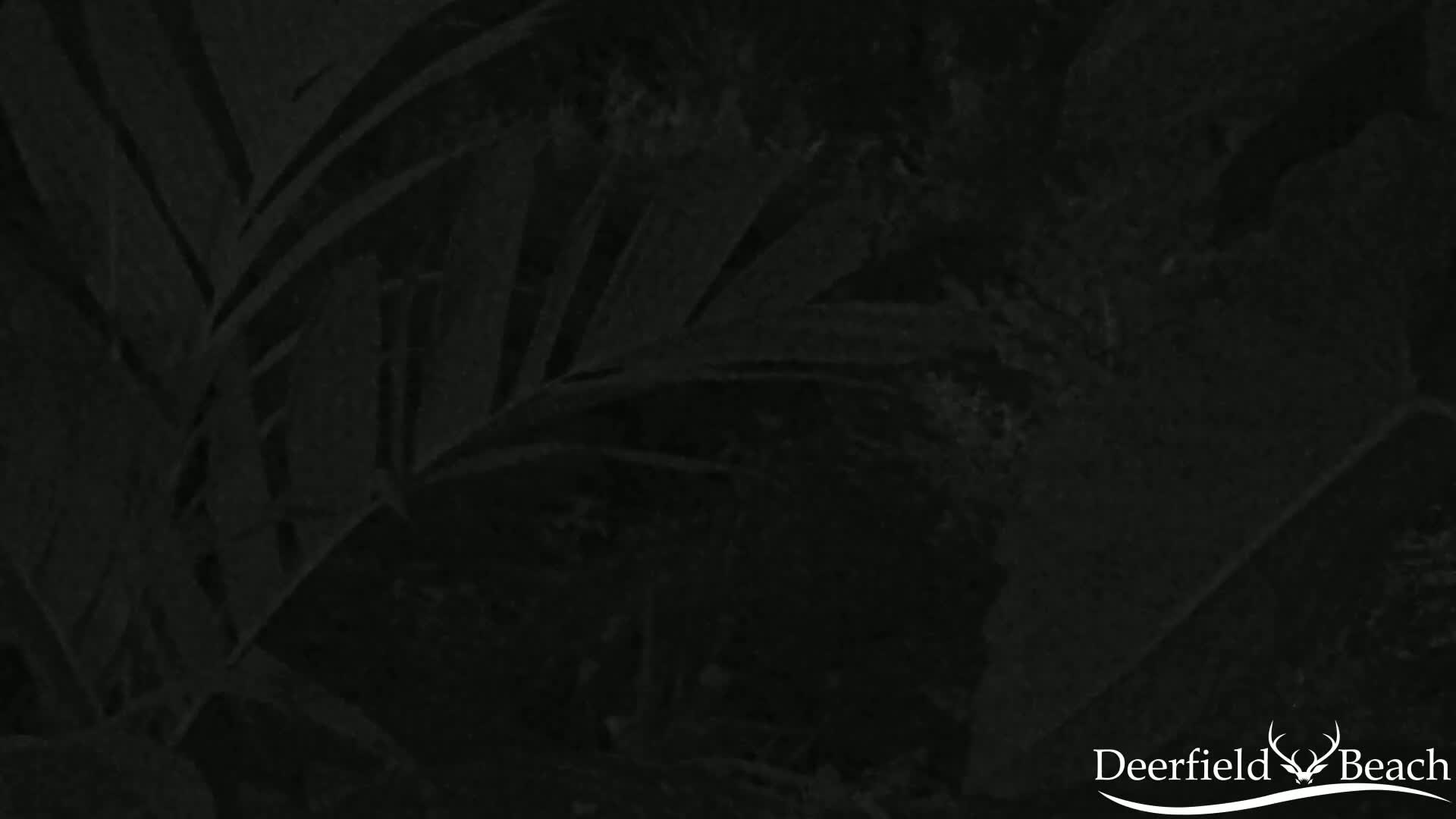 Deerfield Beach City Arboretum at Constitution Park Live Cam - Deerfield Beach, Broward, Florida, USA
