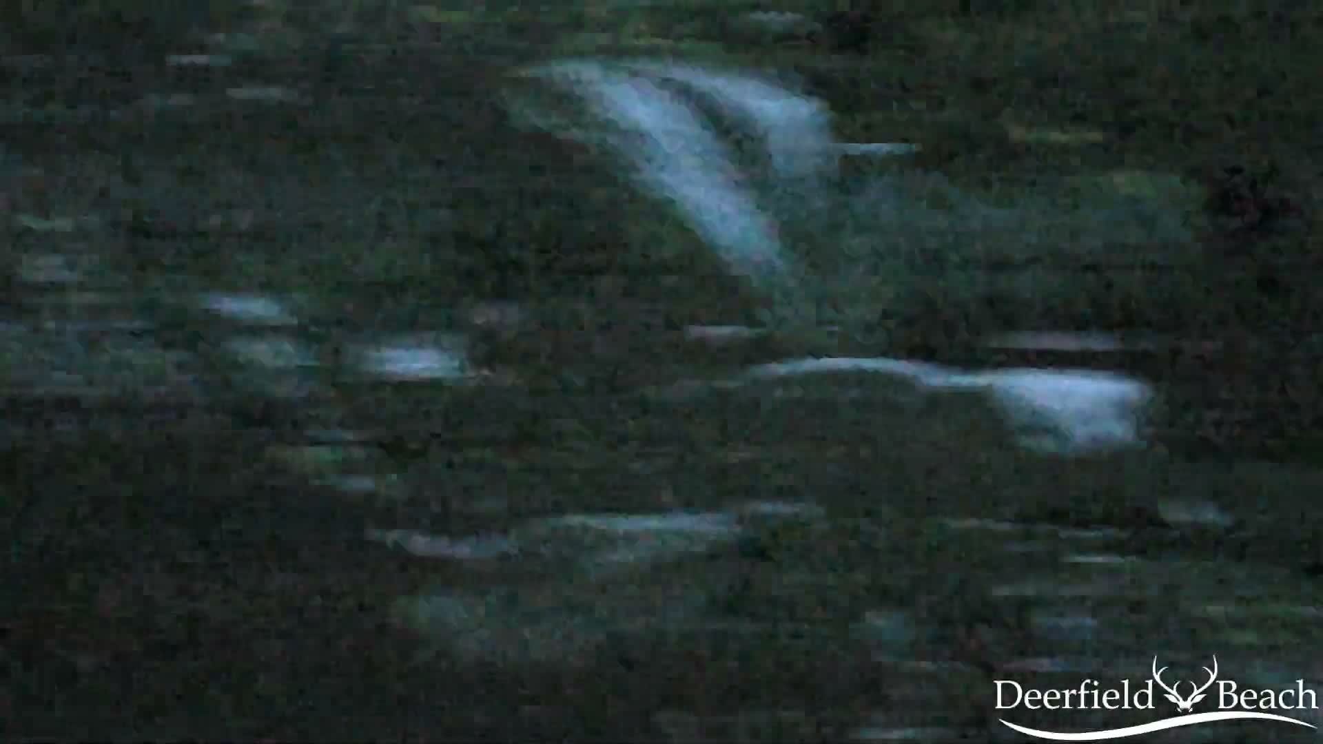 Deerfield Beach City Arboretum at Constitution Park Live Cam - Deerfield Beach, Broward, Florida, USA