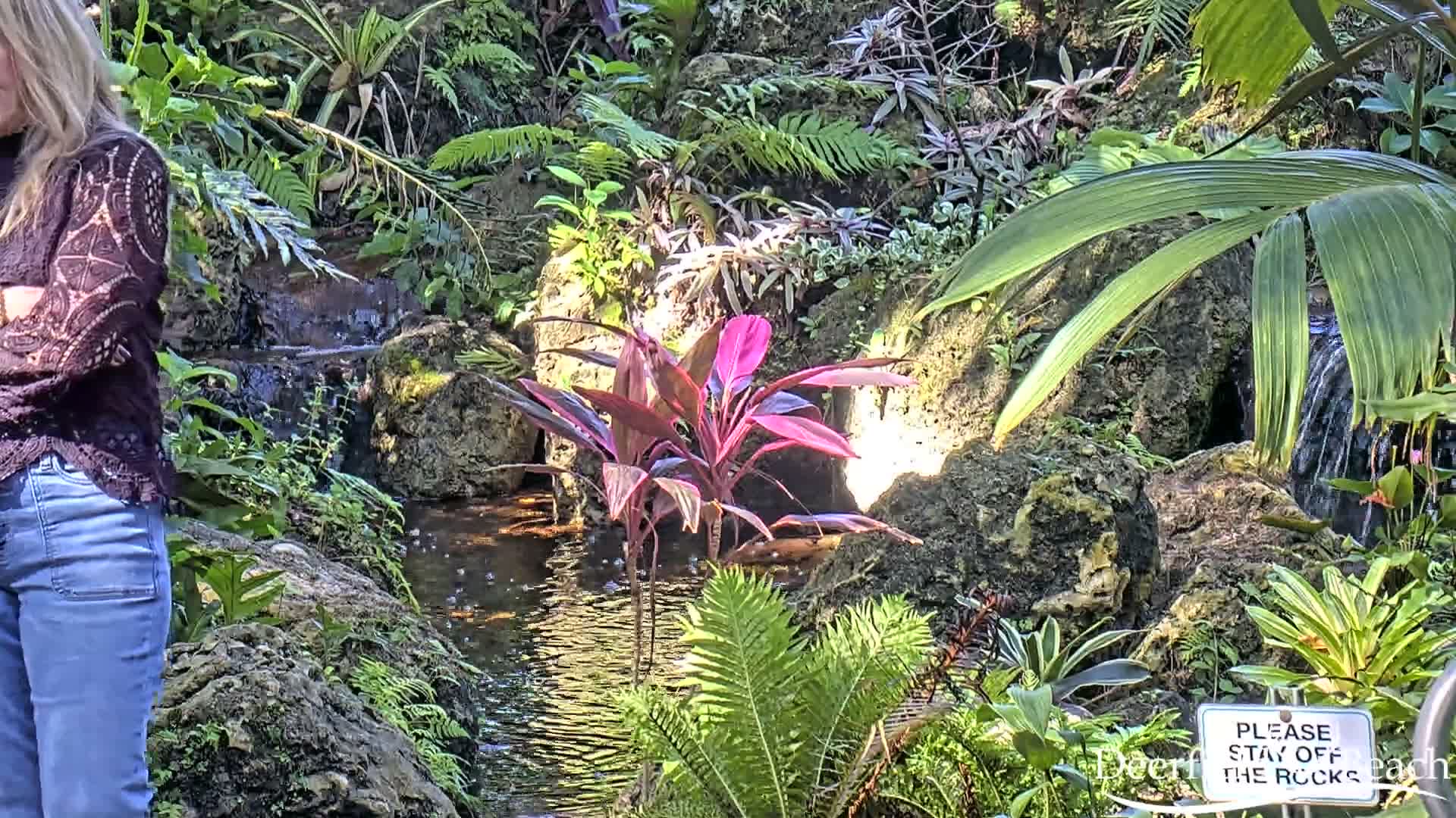 Deerfield Beach City Arboretum at Constitution Park Live Cam - Deerfield Beach, Broward, Florida, USA