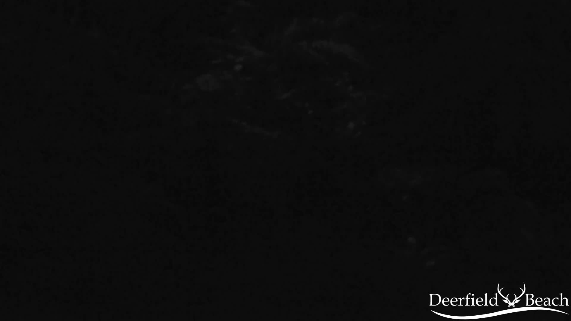 Deerfield Beach City Arboretum at Constitution Park Live Cam - Deerfield Beach, Broward, Florida, USA