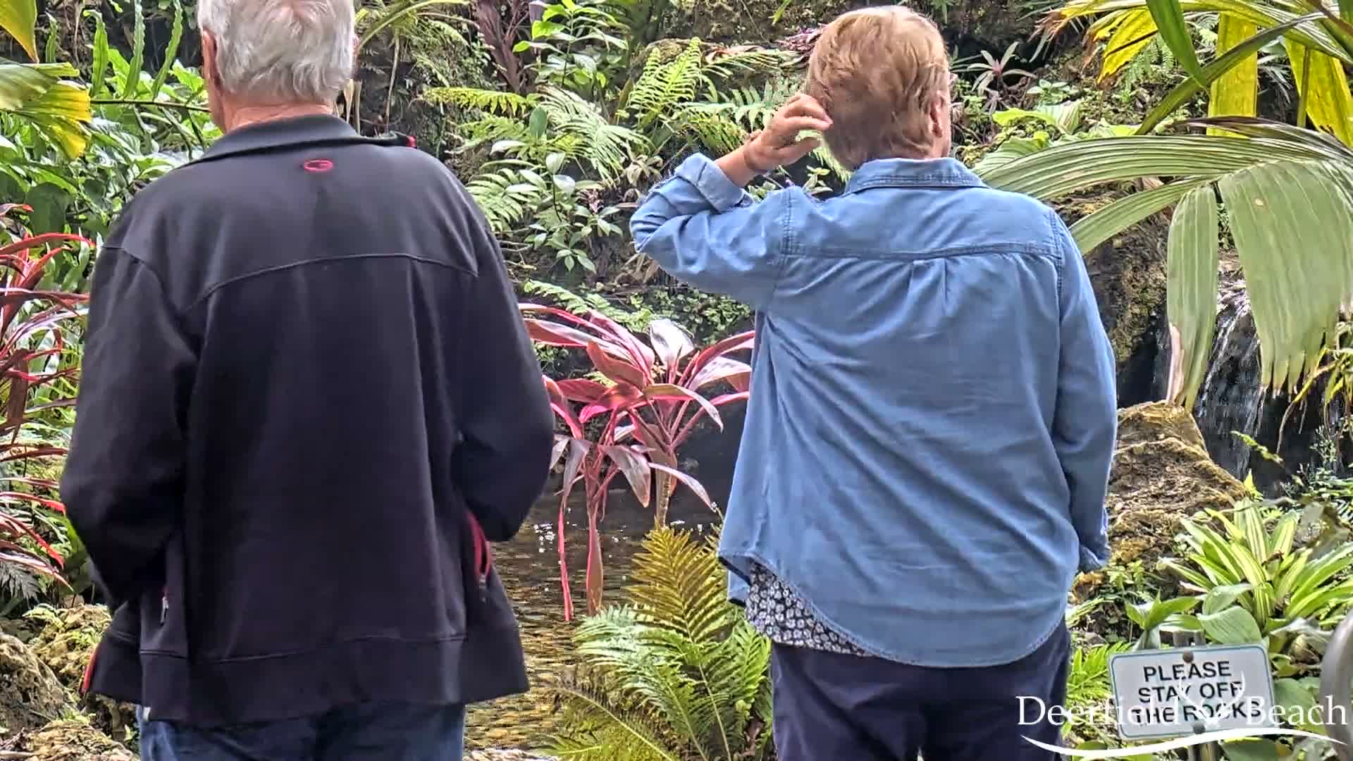 Deerfield Beach City Arboretum at Constitution Park Live Cam - Deerfield Beach, Broward, Florida, USA