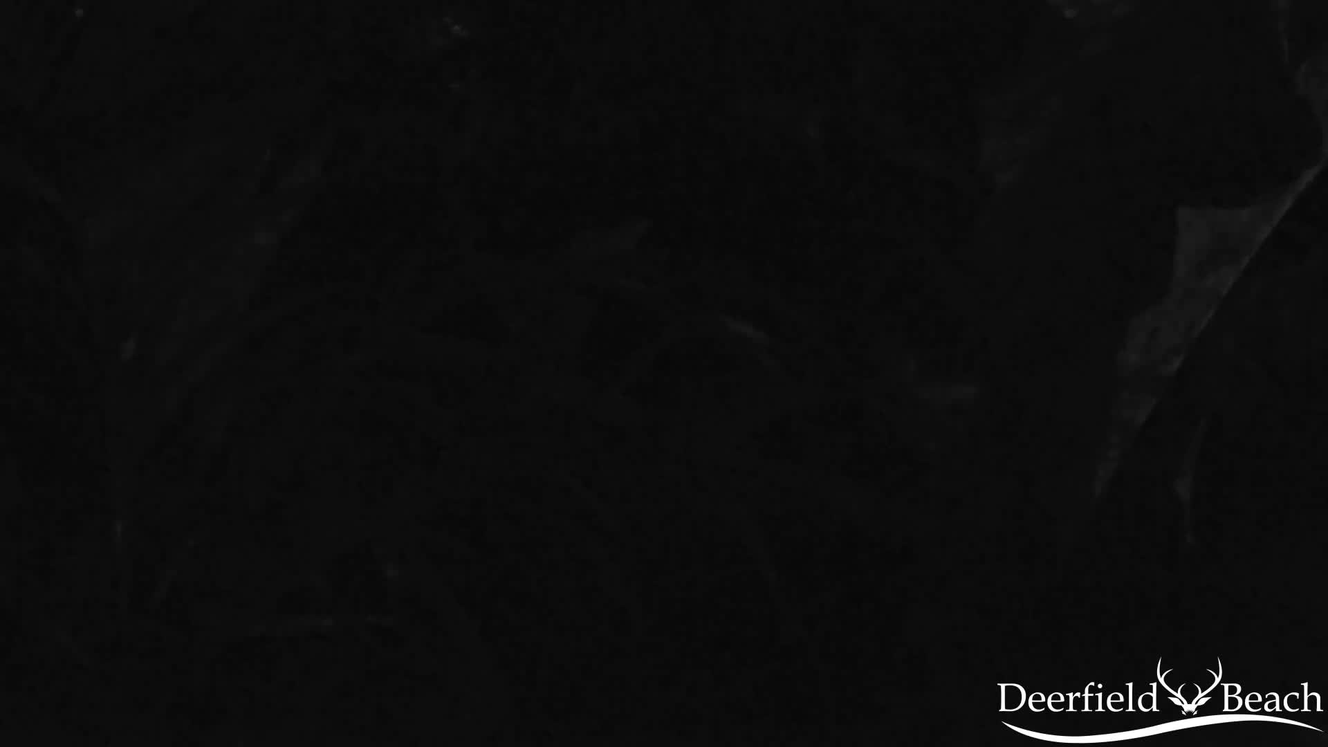 Deerfield Beach City Arboretum at Constitution Park Live Cam - Deerfield Beach, Broward, Florida, USA
