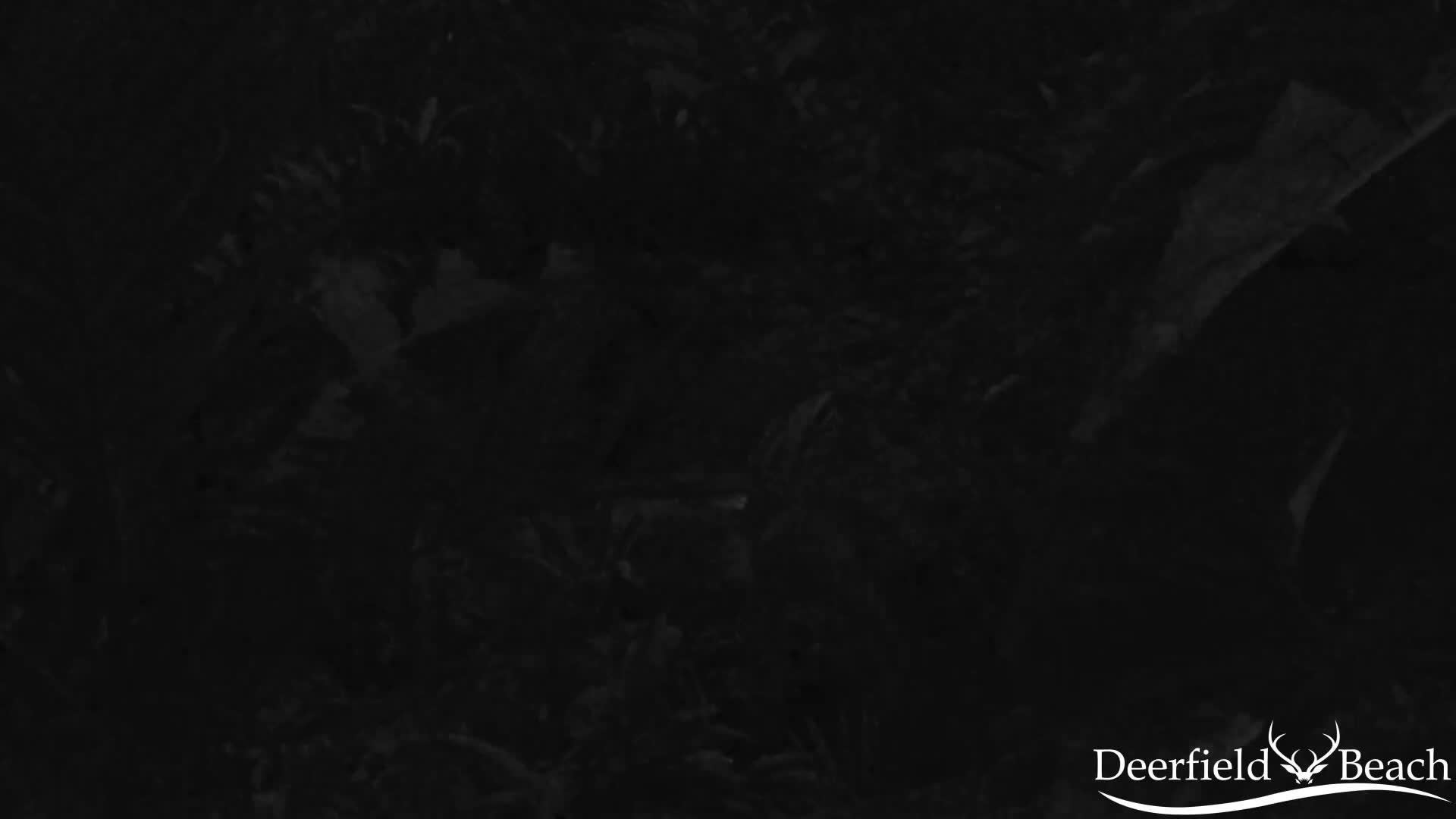Deerfield Beach City Arboretum at Constitution Park Live Cam - Deerfield Beach, Broward, Florida, USA