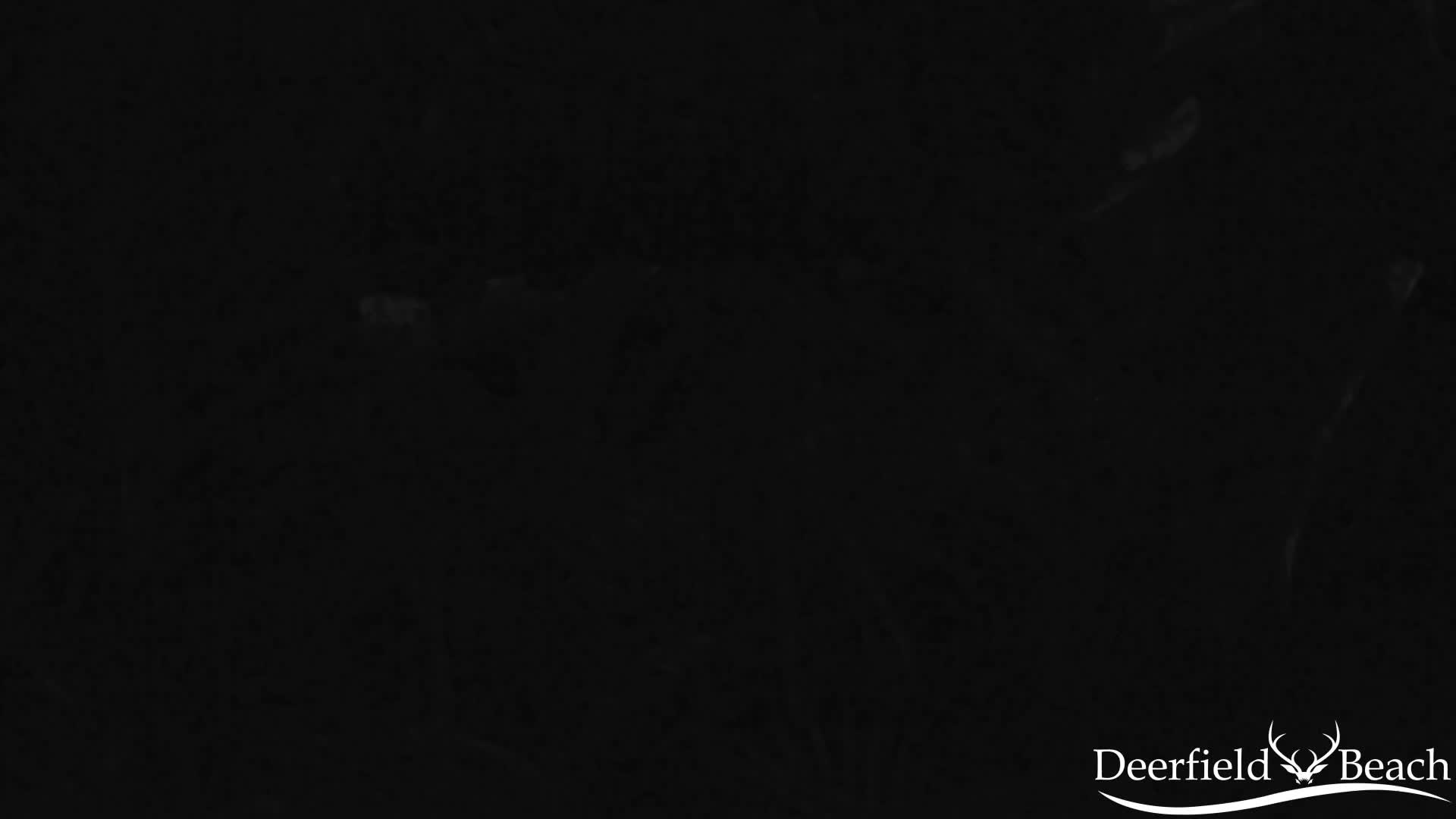 Deerfield Beach City Arboretum at Constitution Park Live Cam - Deerfield Beach, Broward, Florida, USA
