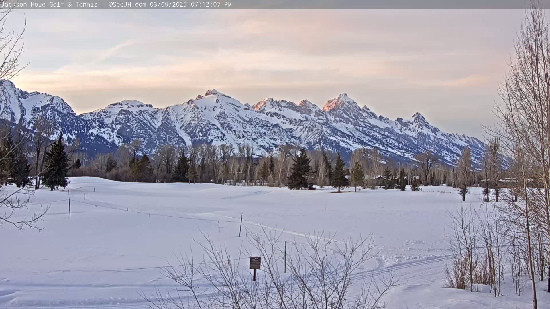 A snow-covered field with leafless trees and a snow-capped mountain range in the background under a pale sky.