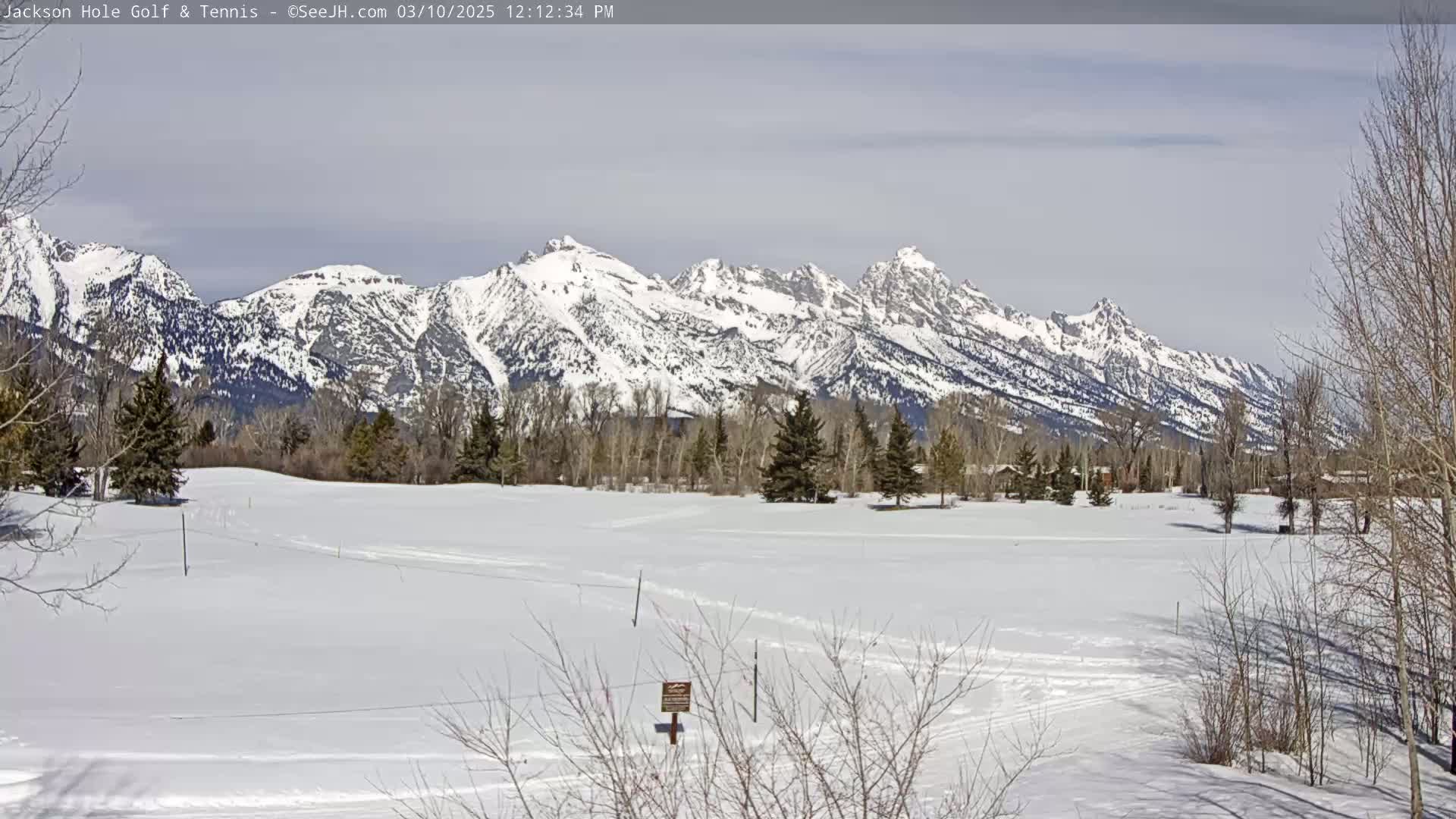 A snow-covered field with leafless trees and a snow-capped mountain range in the background under a mostly clear sky.