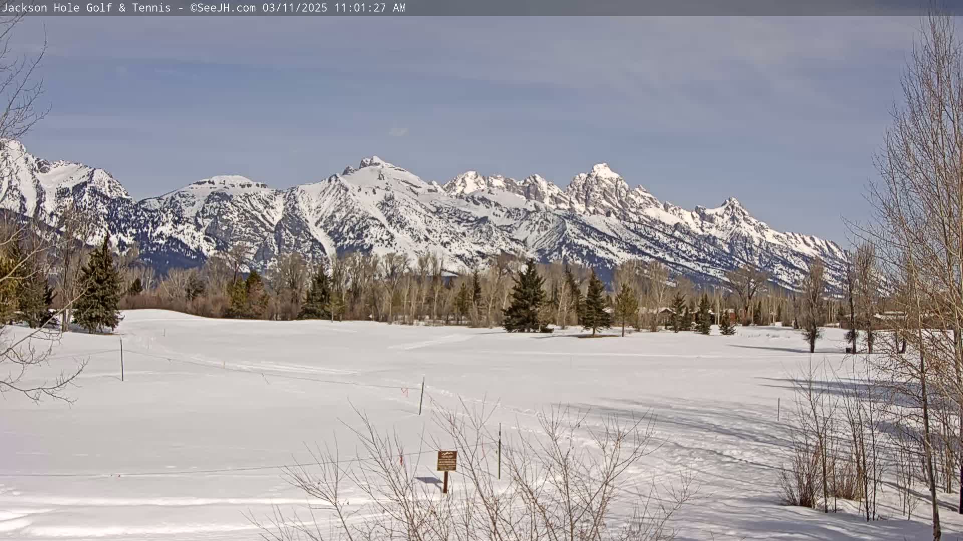 A snow-covered field with bare trees and a snow-capped mountain range in the background under a mostly sunny sky.