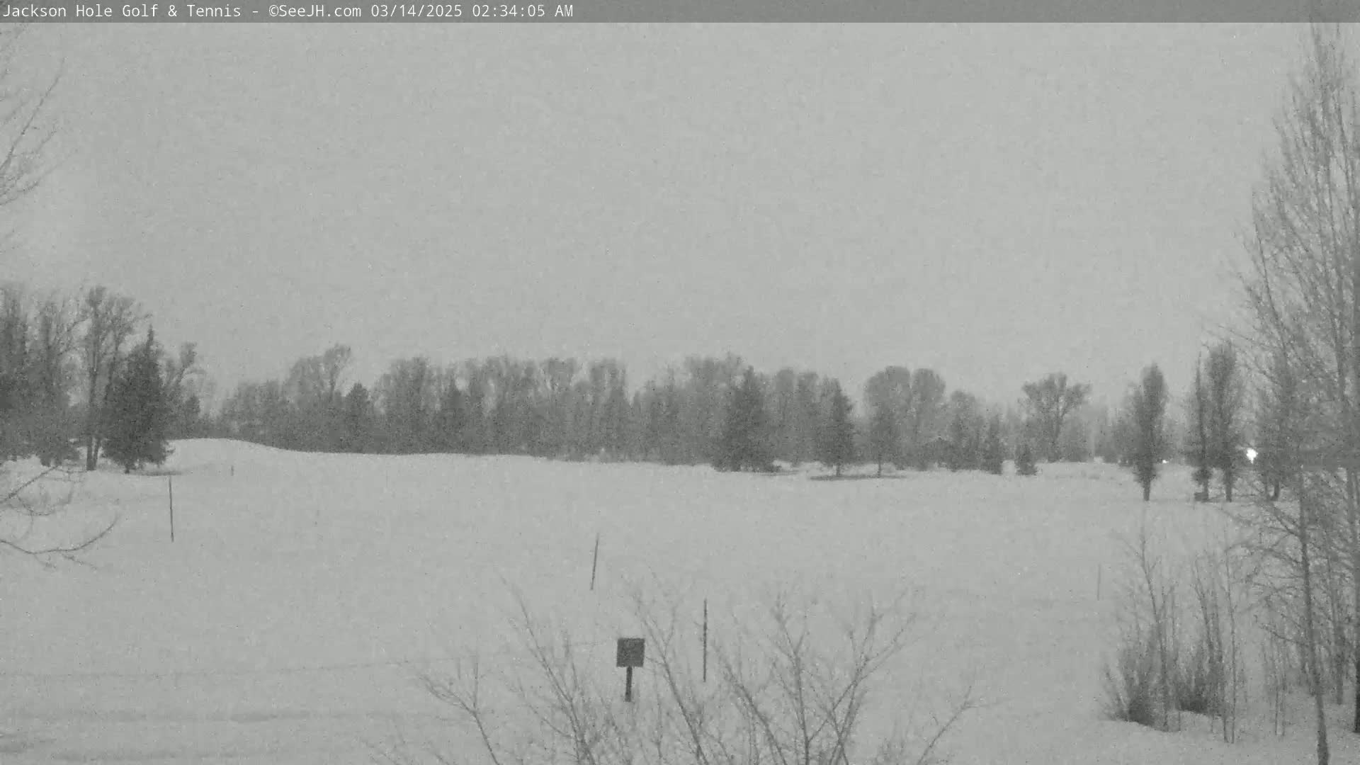 A snow-covered golf course with leafless trees under a gray sky.