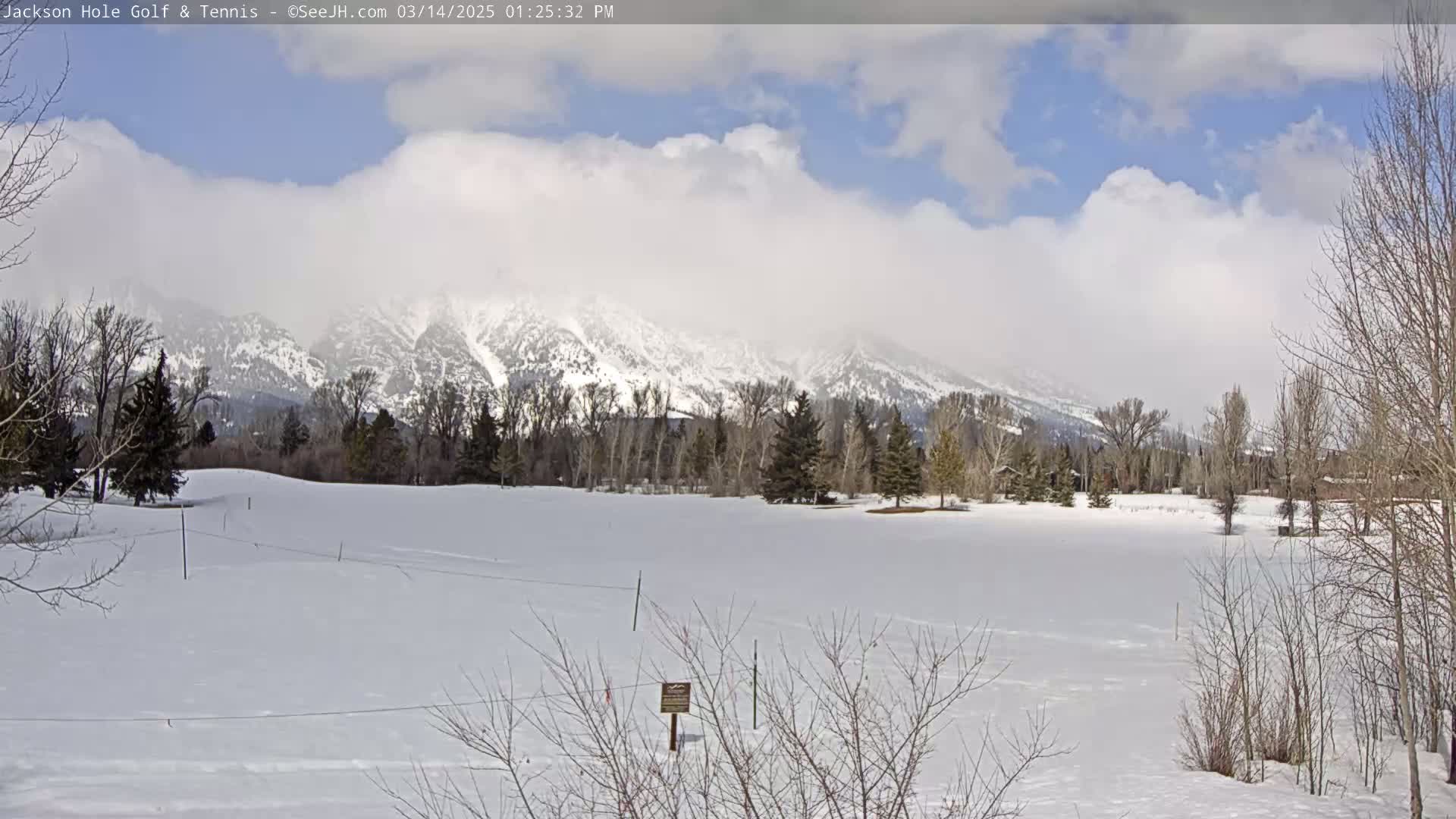 A snow-covered field with leafless trees and a snow-capped mountain range in the background under a partly cloudy sky.