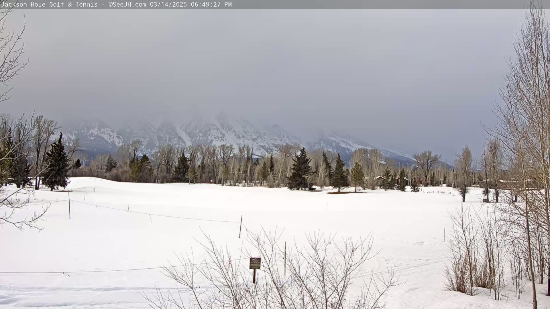 A snow-covered field with bare trees and a hazy mountain range in the background under an overcast sky.