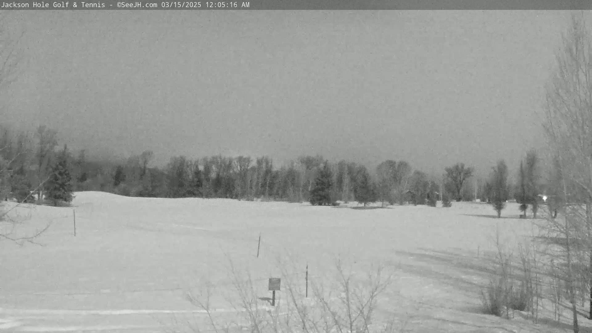 A snow-covered golf course is visible under a gray, overcast sky.