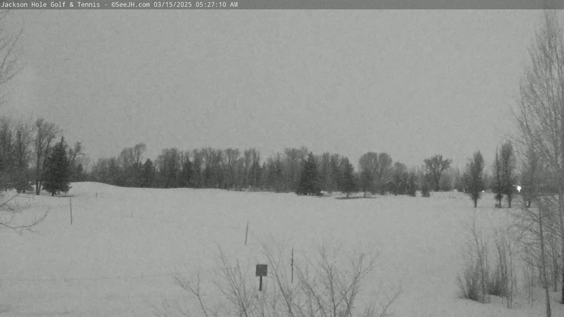 A snow-covered field is visible, with bare trees lining the horizon under a gray, overcast sky.