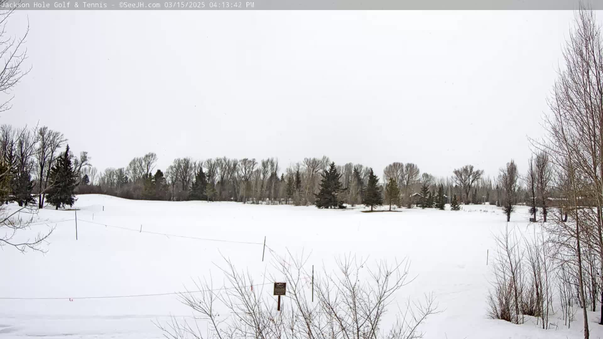 A snow-covered field is seen, with bare trees and a line of evergreen trees in the background under a cloudy sky.