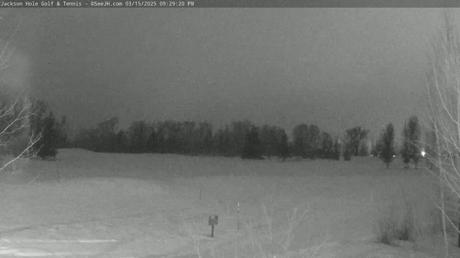 A snow-covered field is visible under a dark, night sky, with a line of trees in the background.
