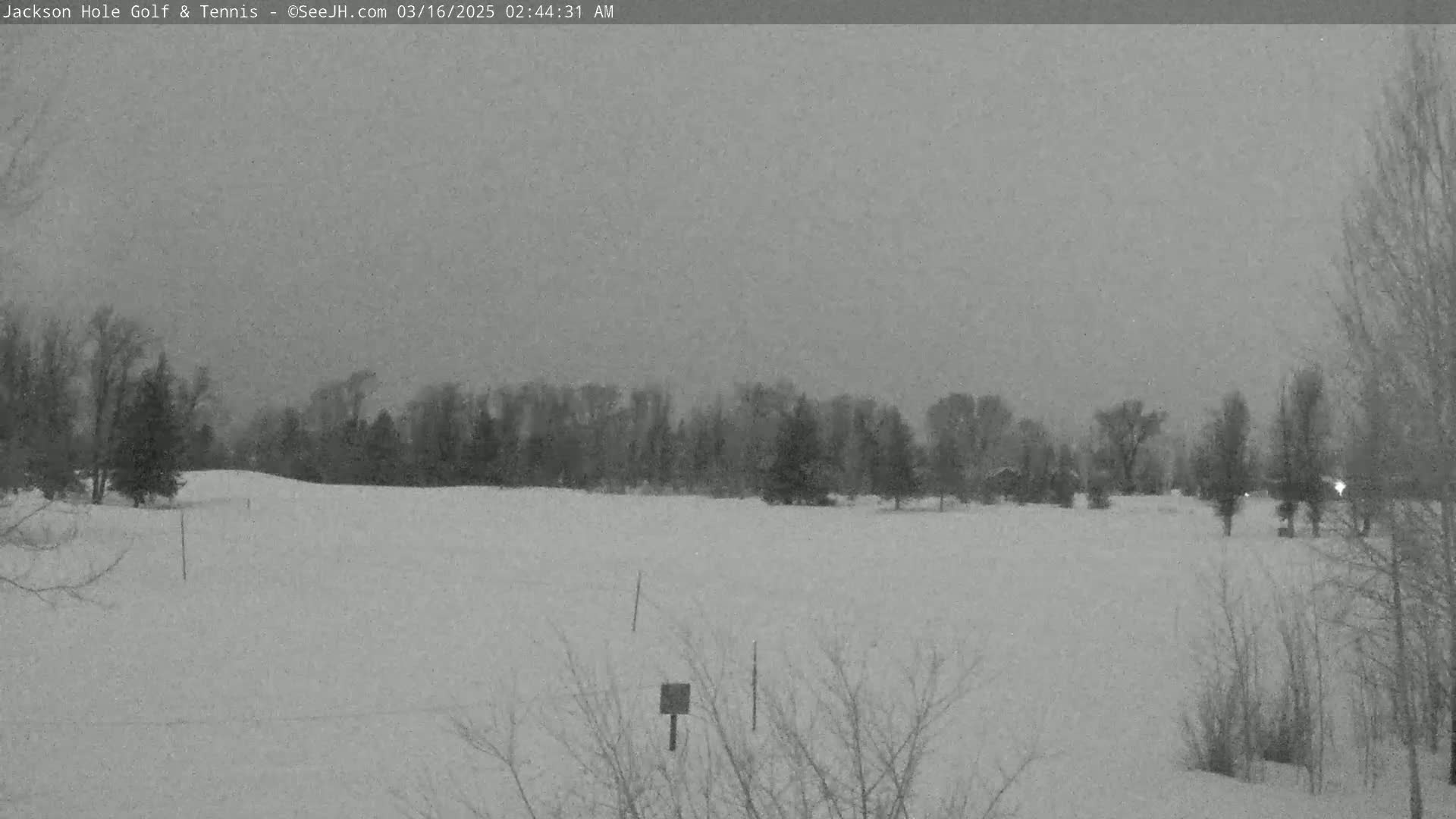 A snow-covered field with bare trees in the background under an overcast sky.