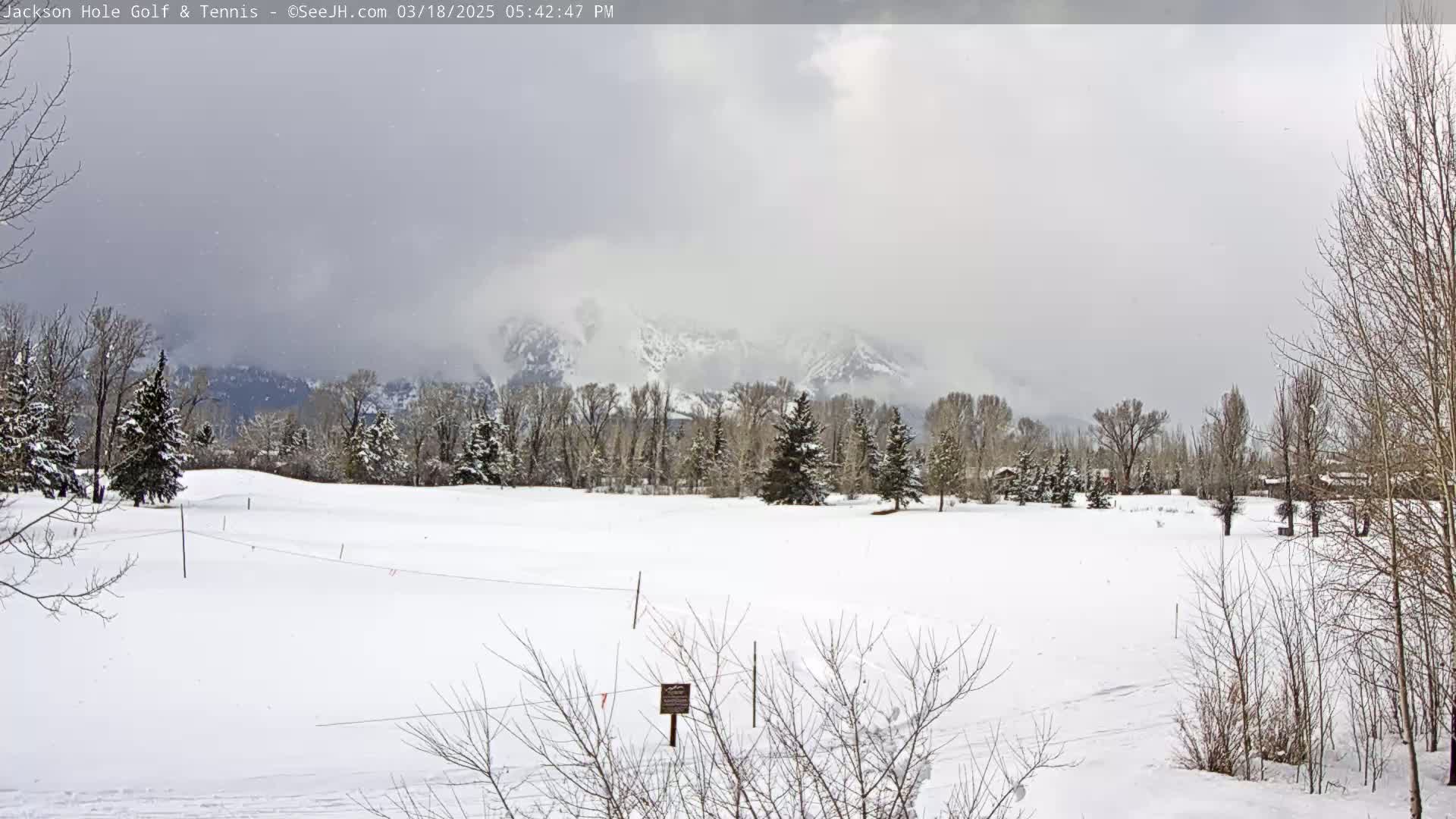 A snow-covered field with leafless trees and a snow-capped mountain range in the background under an overcast sky.