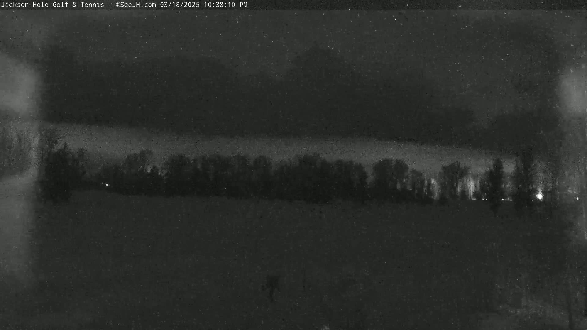 A nighttime, low-light view shows a line of trees under a slightly cloudy sky.