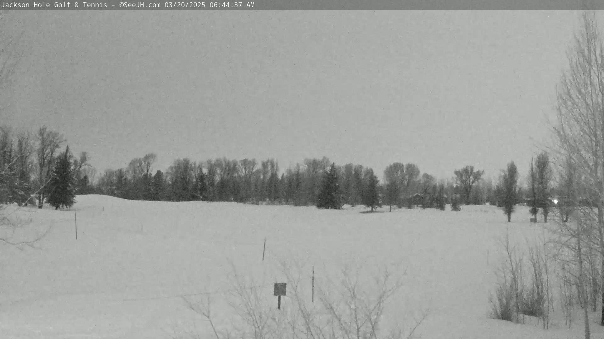 A snow-covered field with leafless trees and a line of taller trees in the background under a gray, overcast sky.