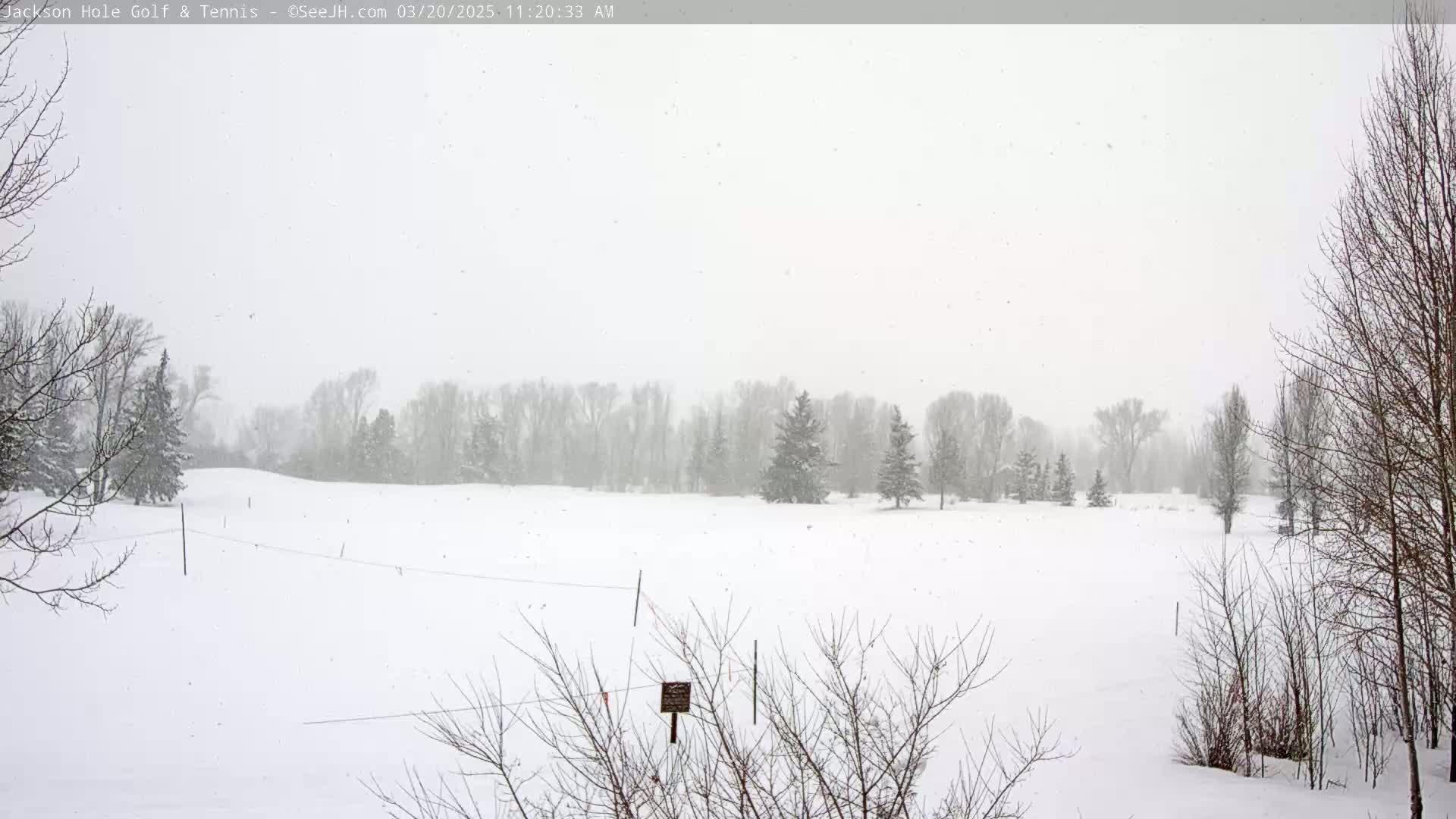 A snow-covered field with leafless trees and a light snowfall is visible in the background.
