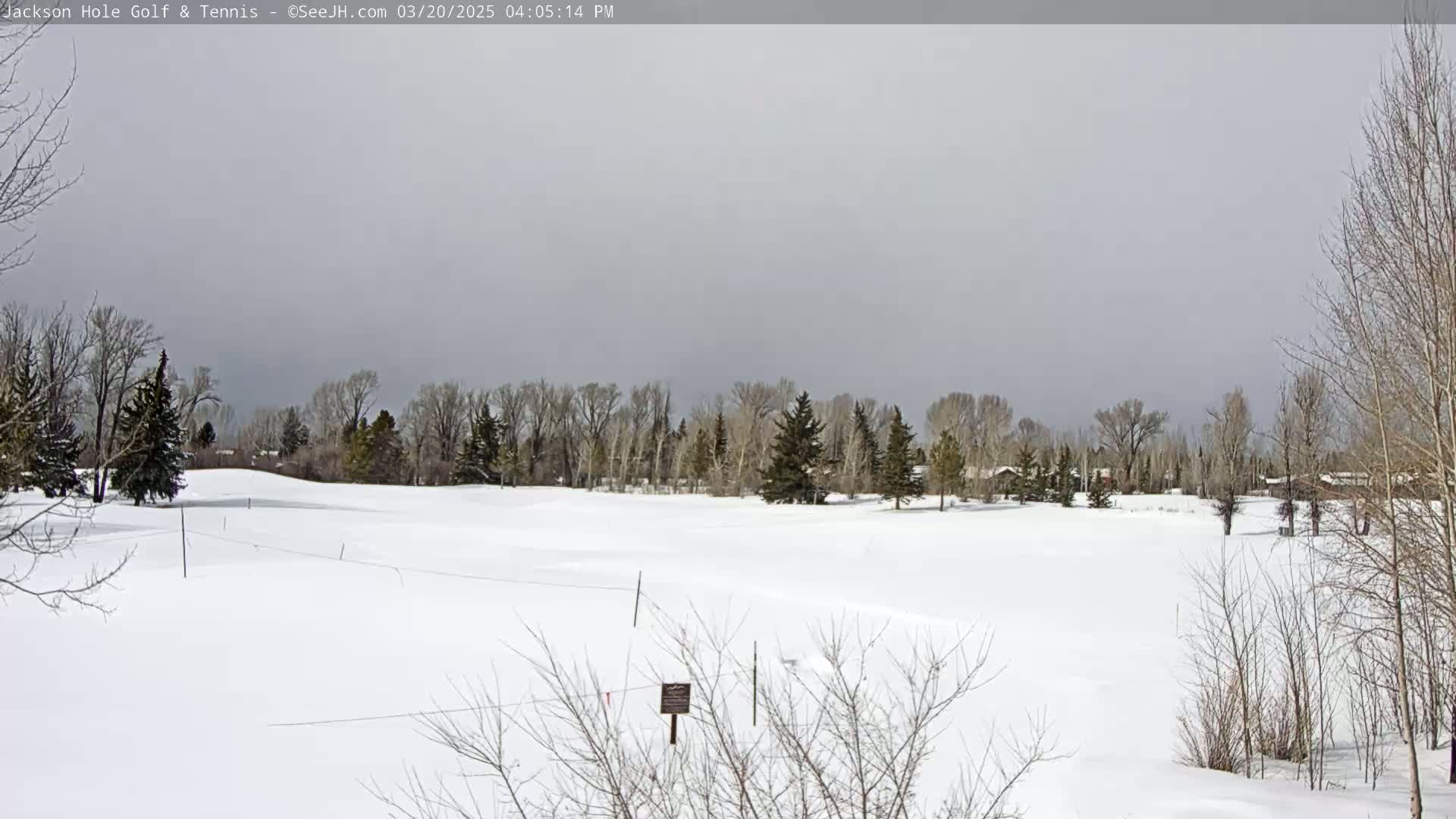 A snow-covered golf course with leafless trees under an overcast sky.