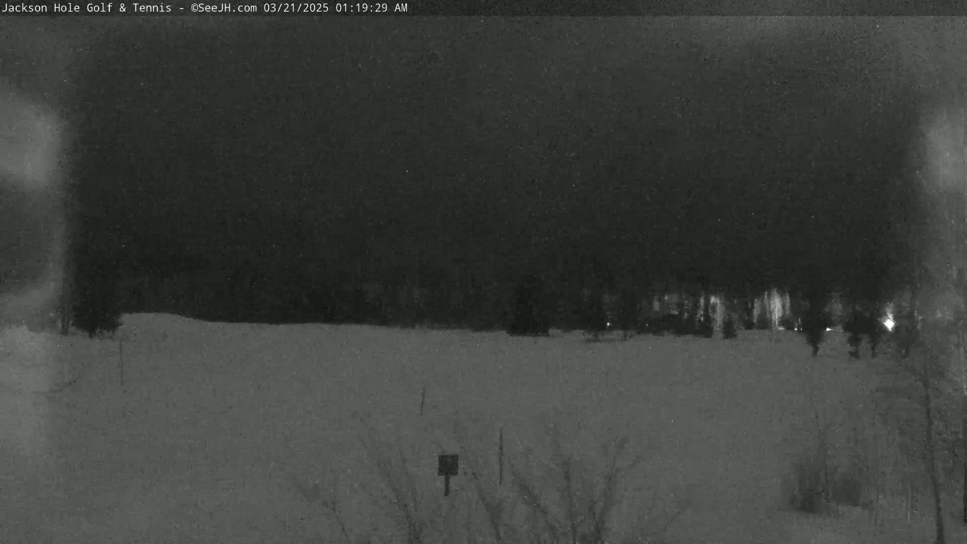 A snow-covered field is visible at night under a dark sky, with a line of trees and distant lights in the background.