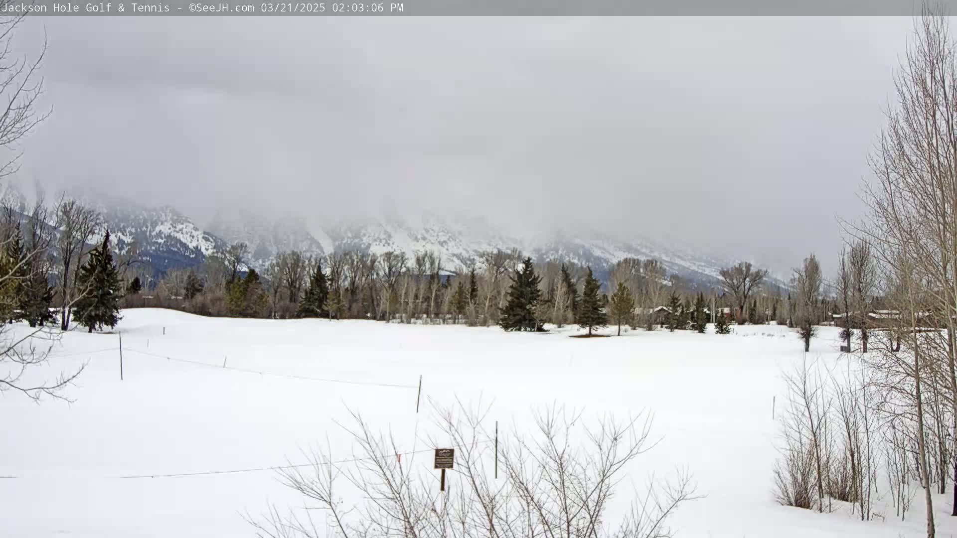 A snow-covered field with bare trees and a snow-capped mountain range in the background under an overcast sky.