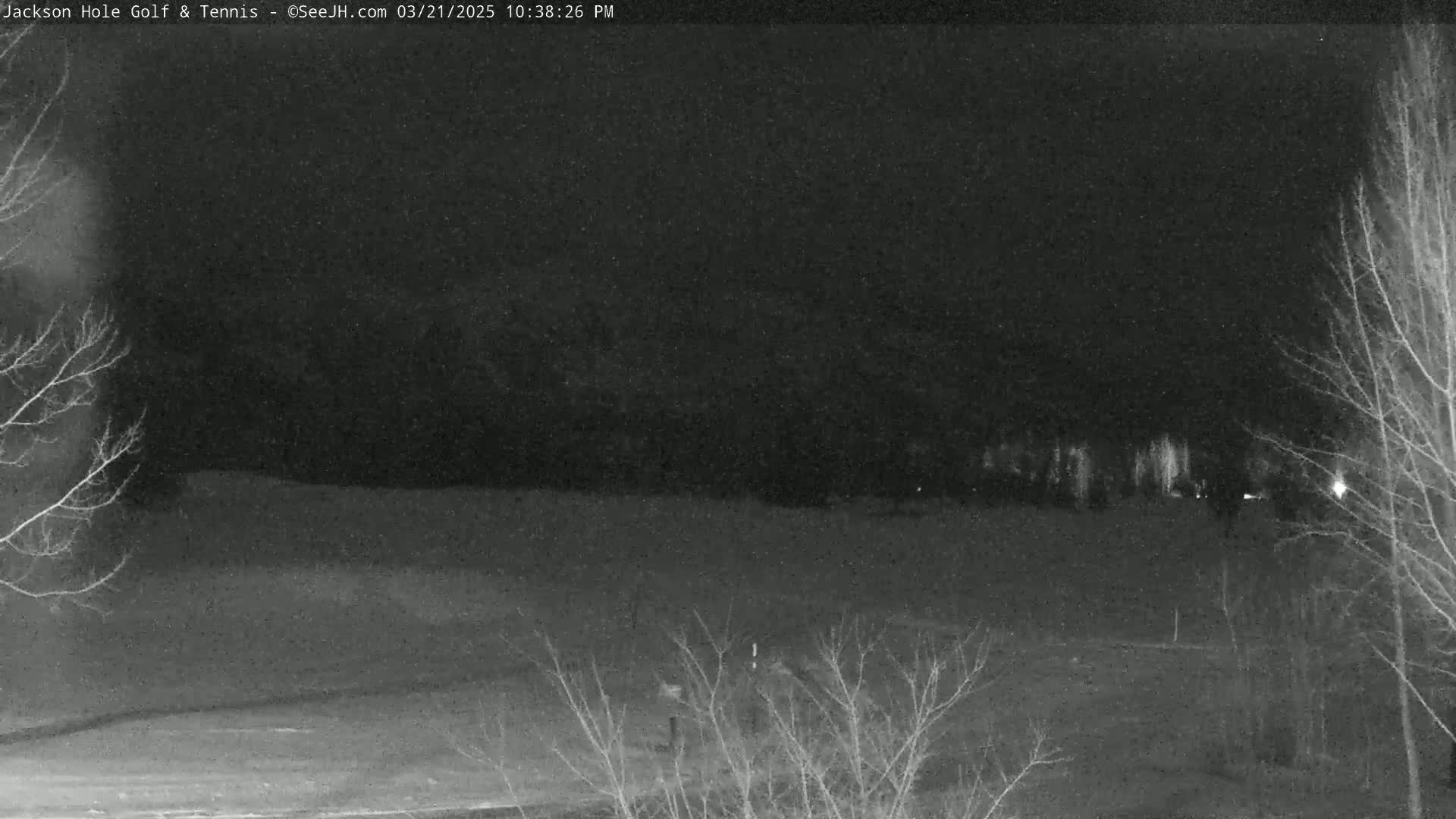 A nighttime, snow-covered landscape is visible, with bare trees in the foreground and a line of trees and lights in the distance.