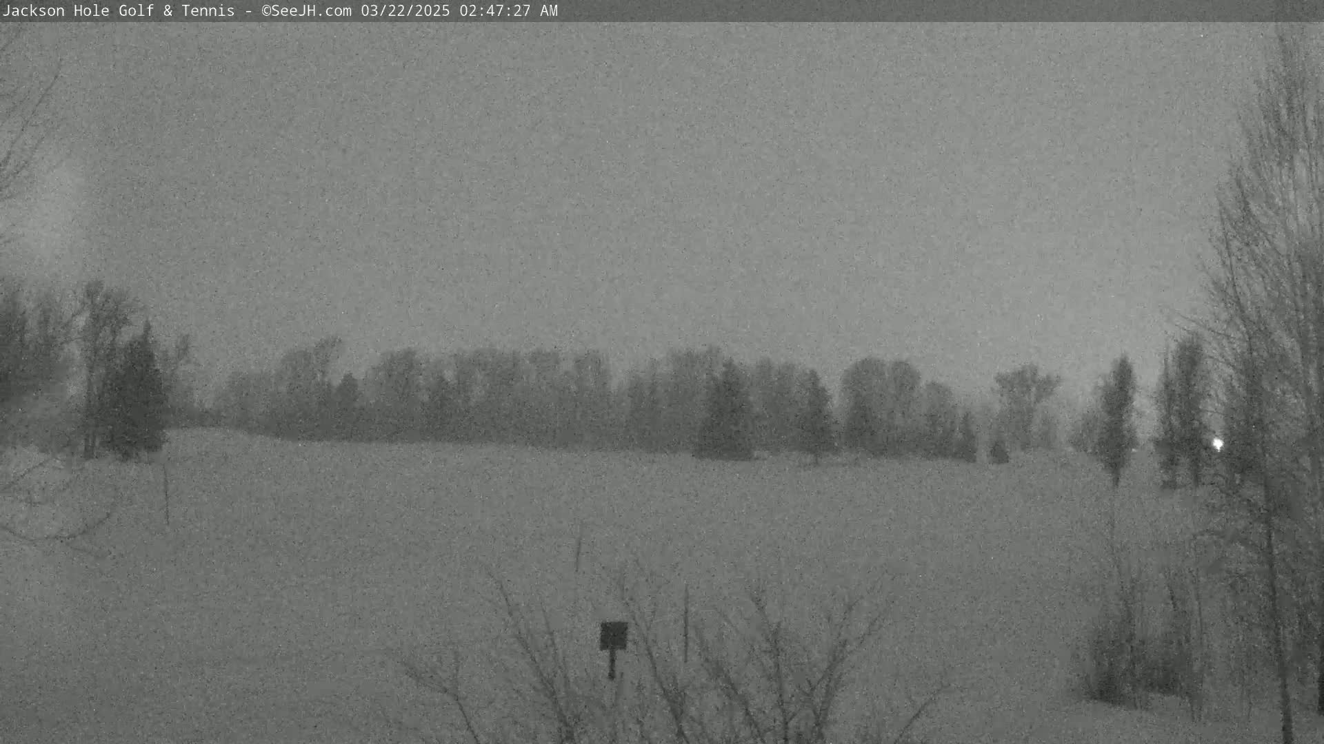 A snow-covered field is visible, bordered by leafless trees under a dark, overcast sky.