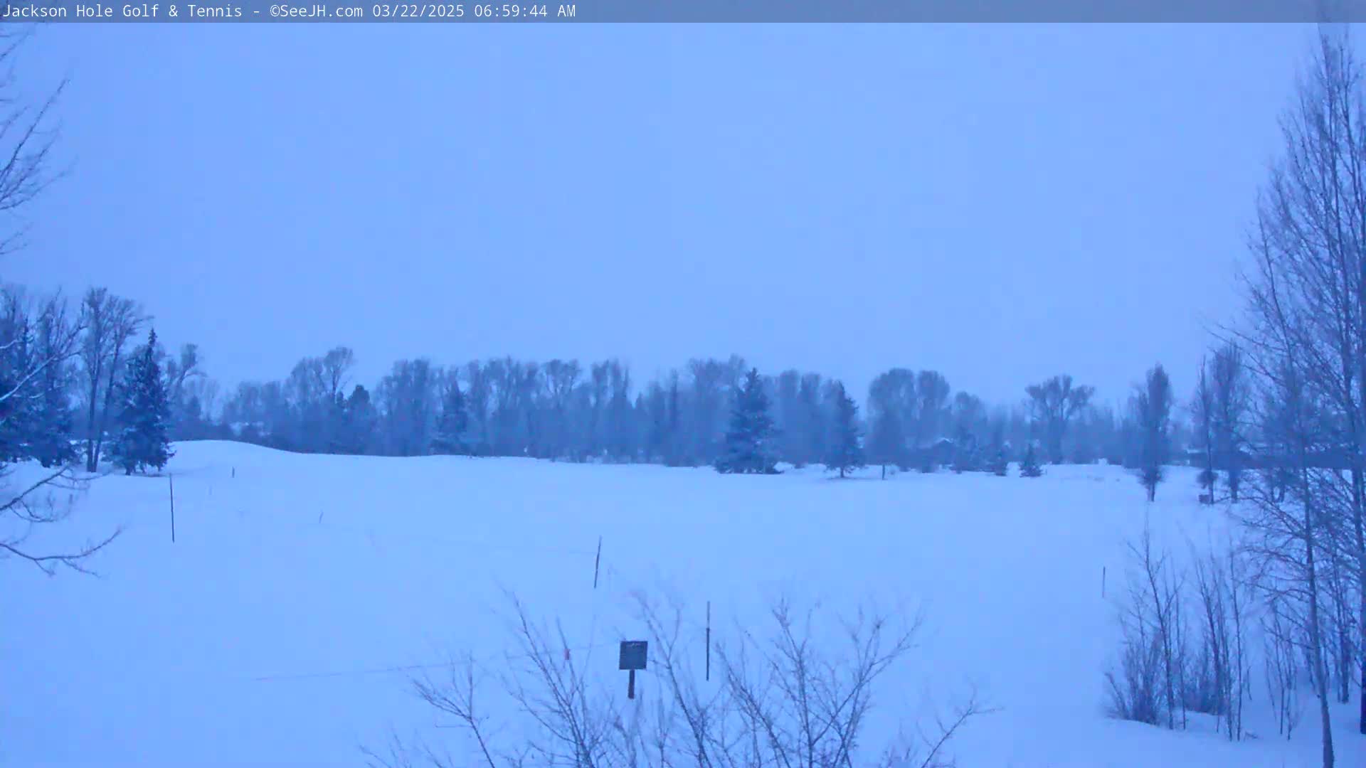 A snow-covered field with leafless trees and a line of taller trees in the background under a pale blue, overcast sky.