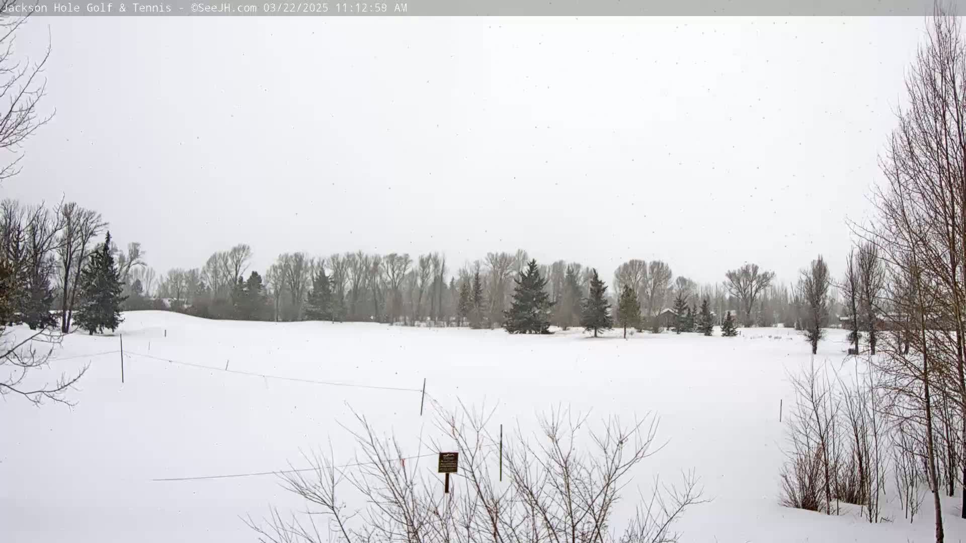A snow-covered golf course with leafless trees is lightly snowing under a gray sky.