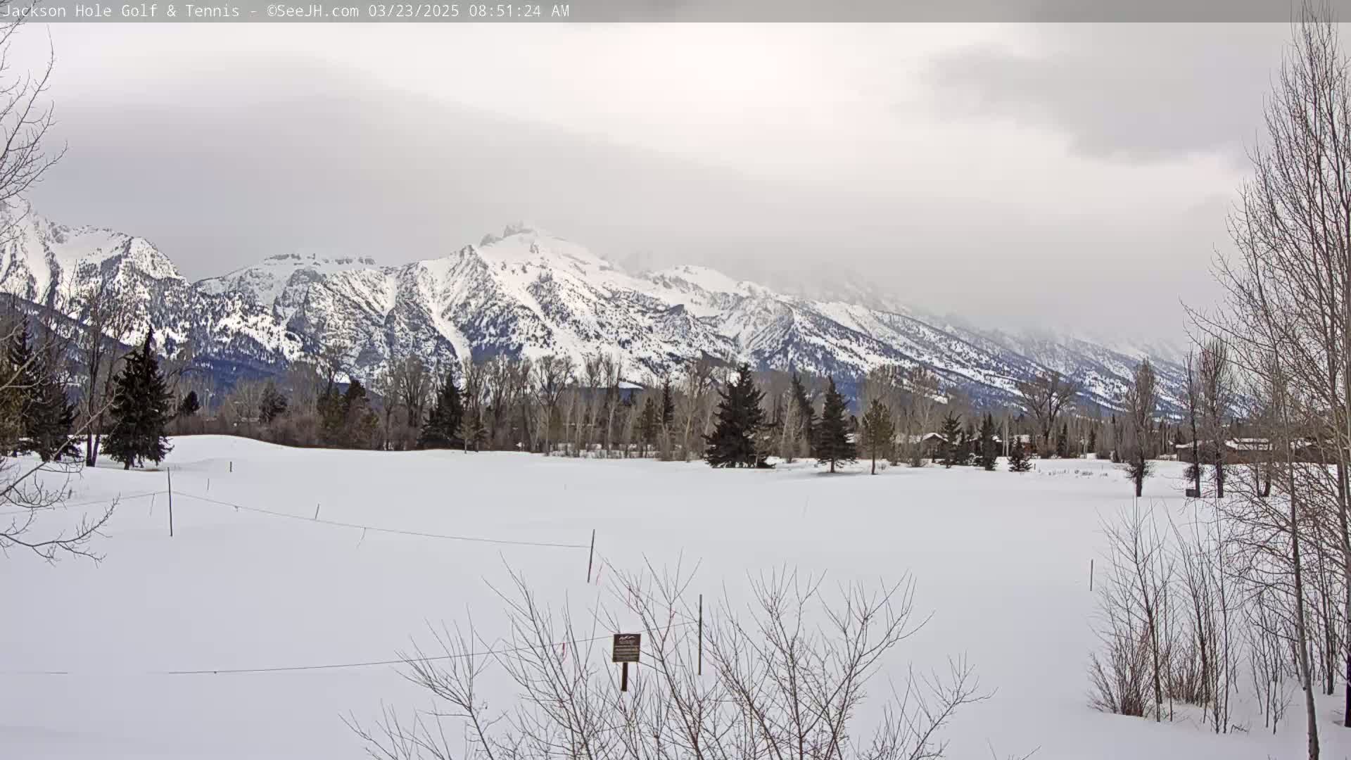 A snow-covered field with bare trees and a snow-capped mountain range in the background under a cloudy sky.