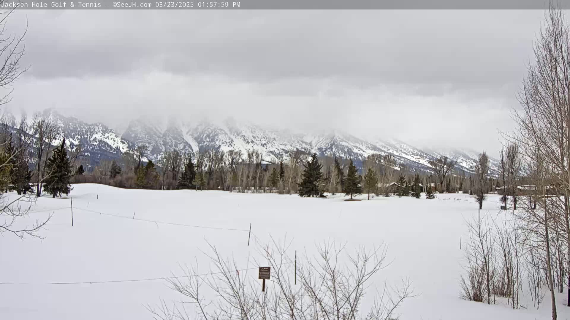A snow-covered field with leafless trees and a snow-capped mountain range in the background under an overcast sky.