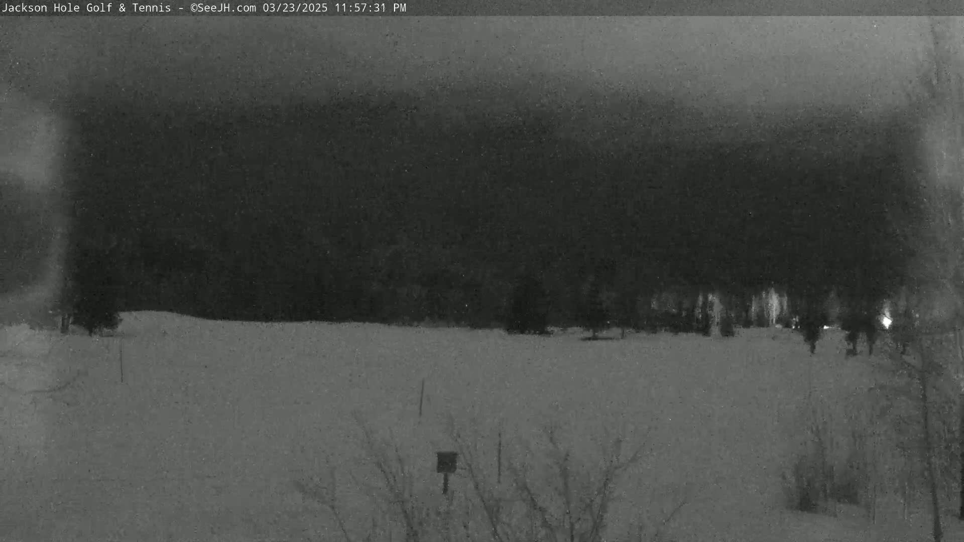 A snow-covered field is visible under a dark, overcast sky at night, with a line of trees in the background.