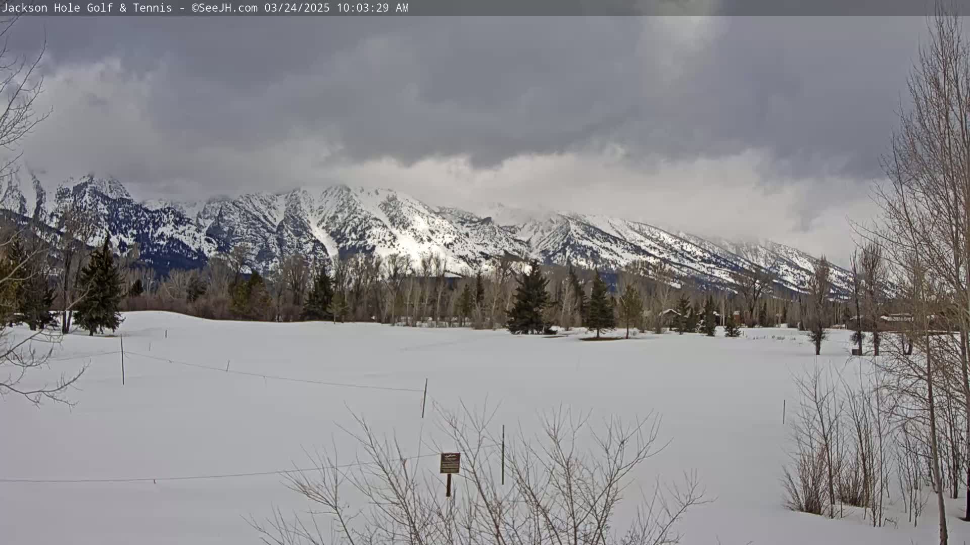 A snow-covered field stretches towards a range of snow-capped mountains under a cloudy sky.