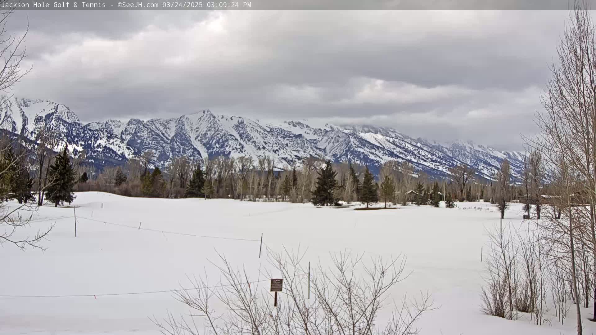 A snow-covered field with leafless trees and a snow-capped mountain range in the background under a cloudy sky.